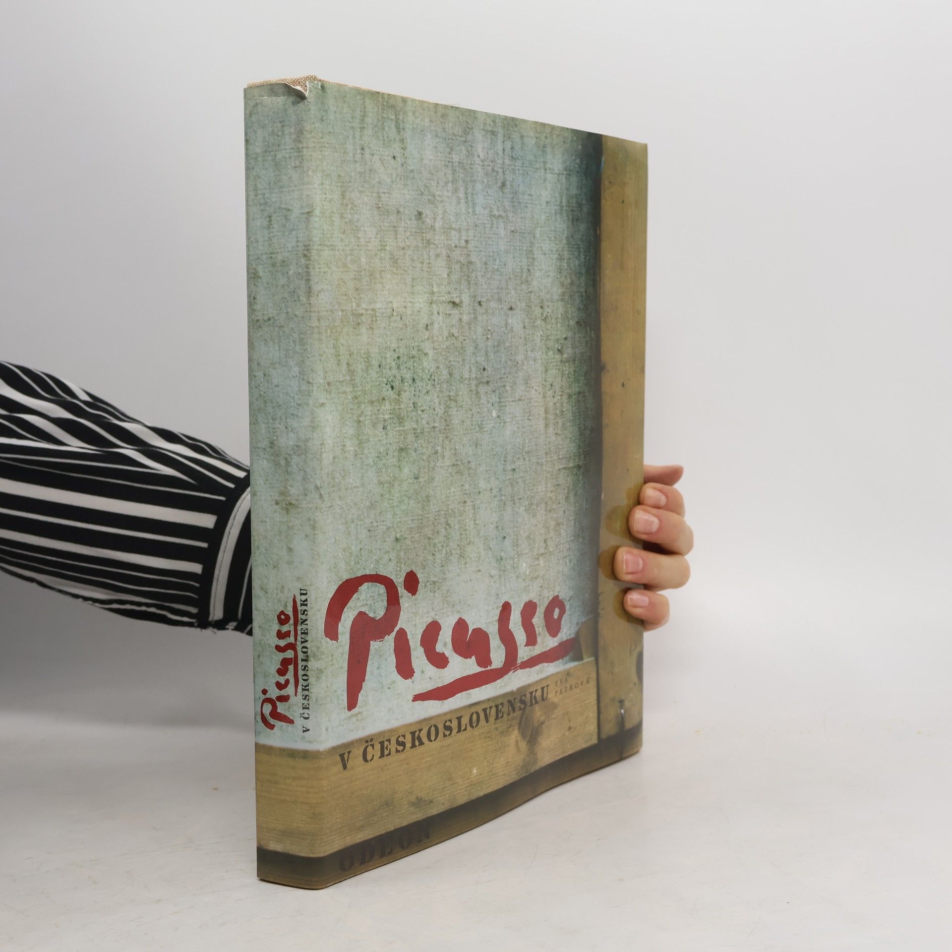 Eva Petrová Picasso v Československu