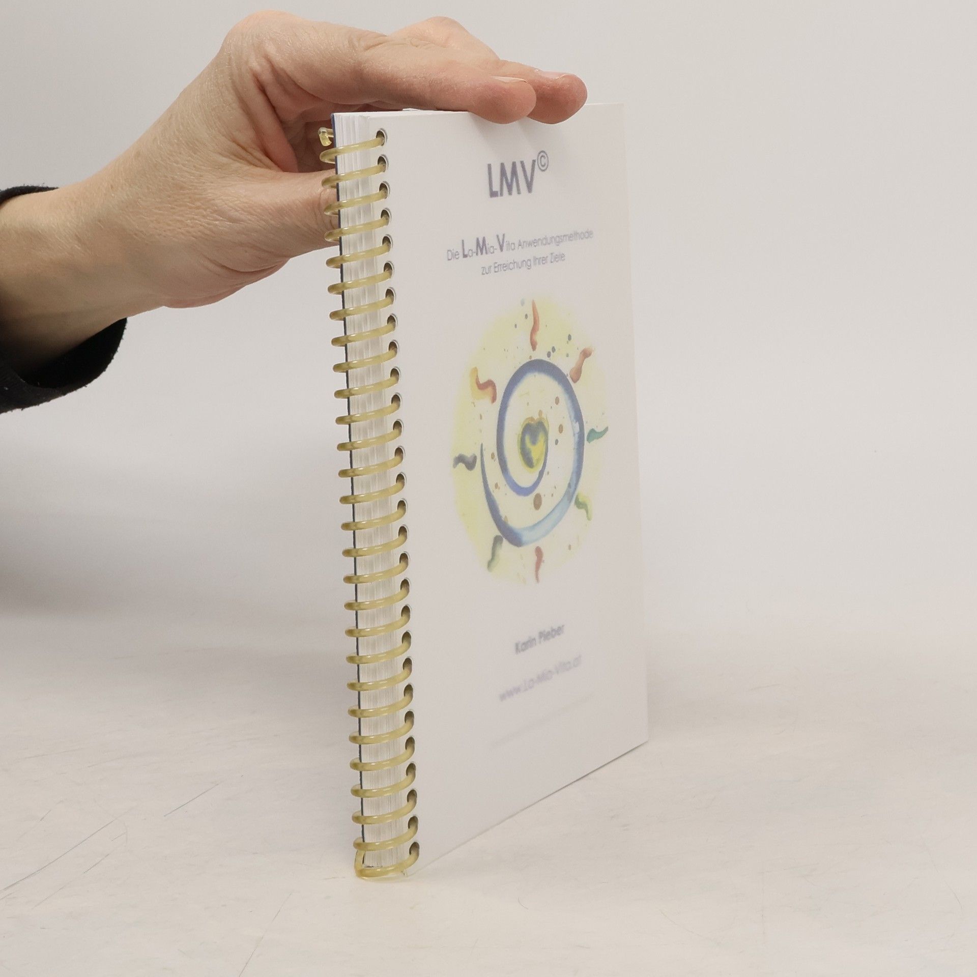 Karin Pieber LMV - Die Anwendungsmethode zur Erreichung Ihrer Ziele