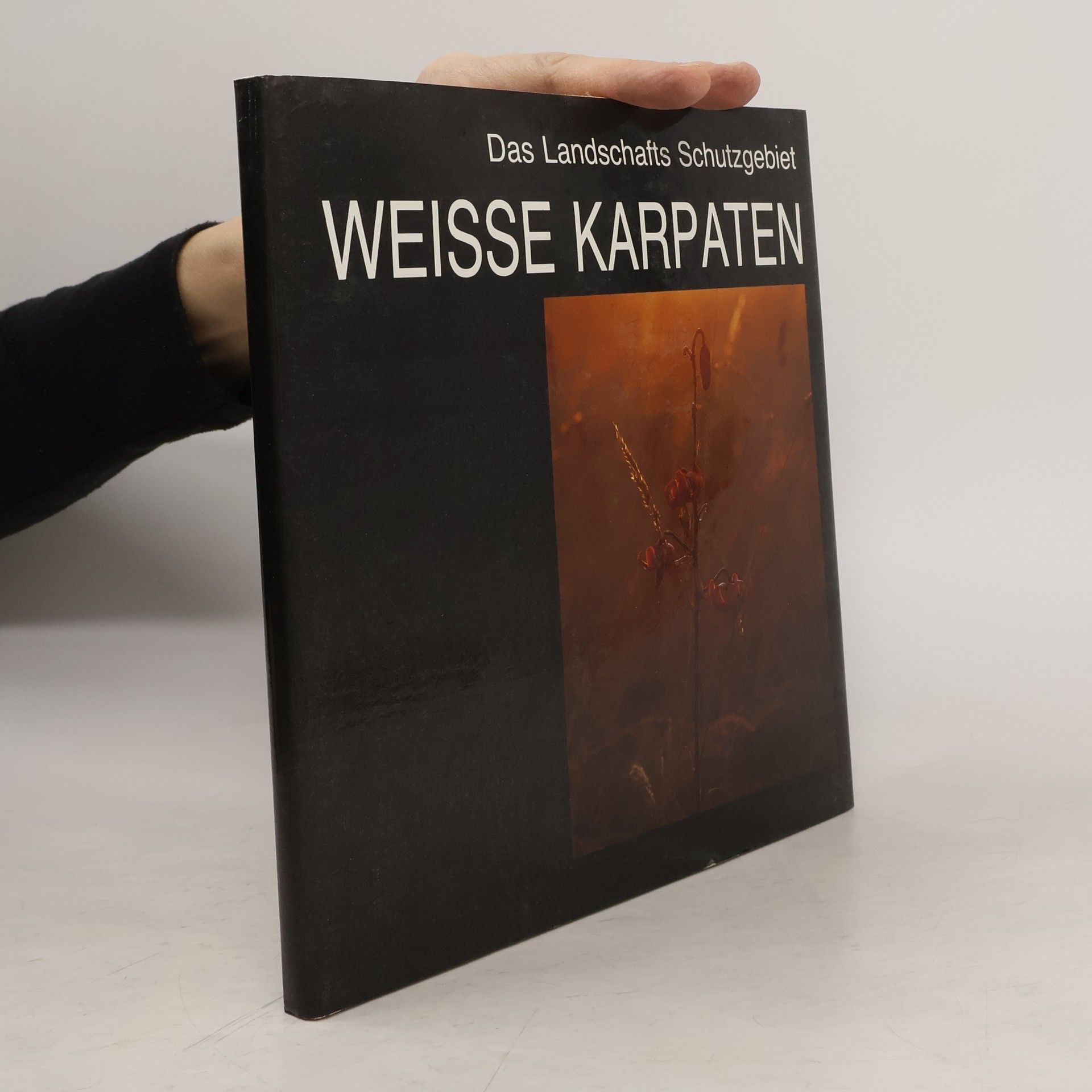 Bohumír Prokůpek Das Landschafts Schutzgebiet Weisse Karpaten