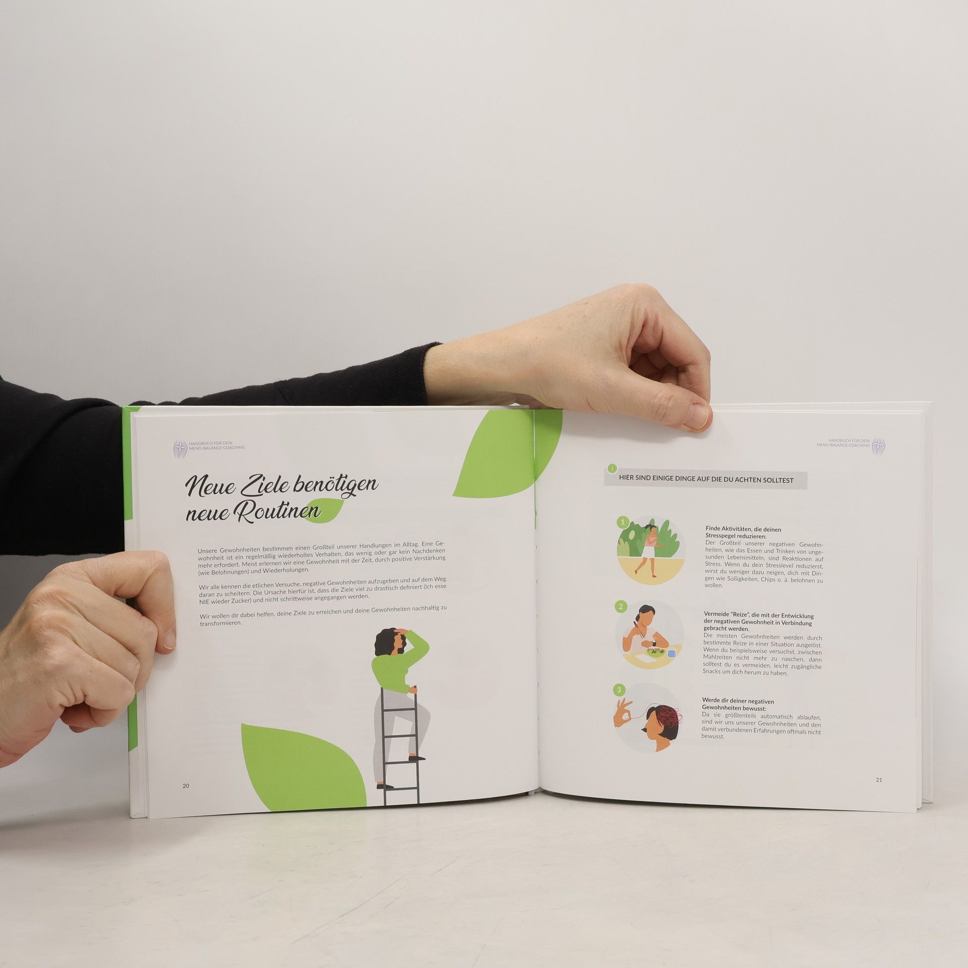 Autorenkollektiv Handbuch fur dein Meno-Balance-Coaching