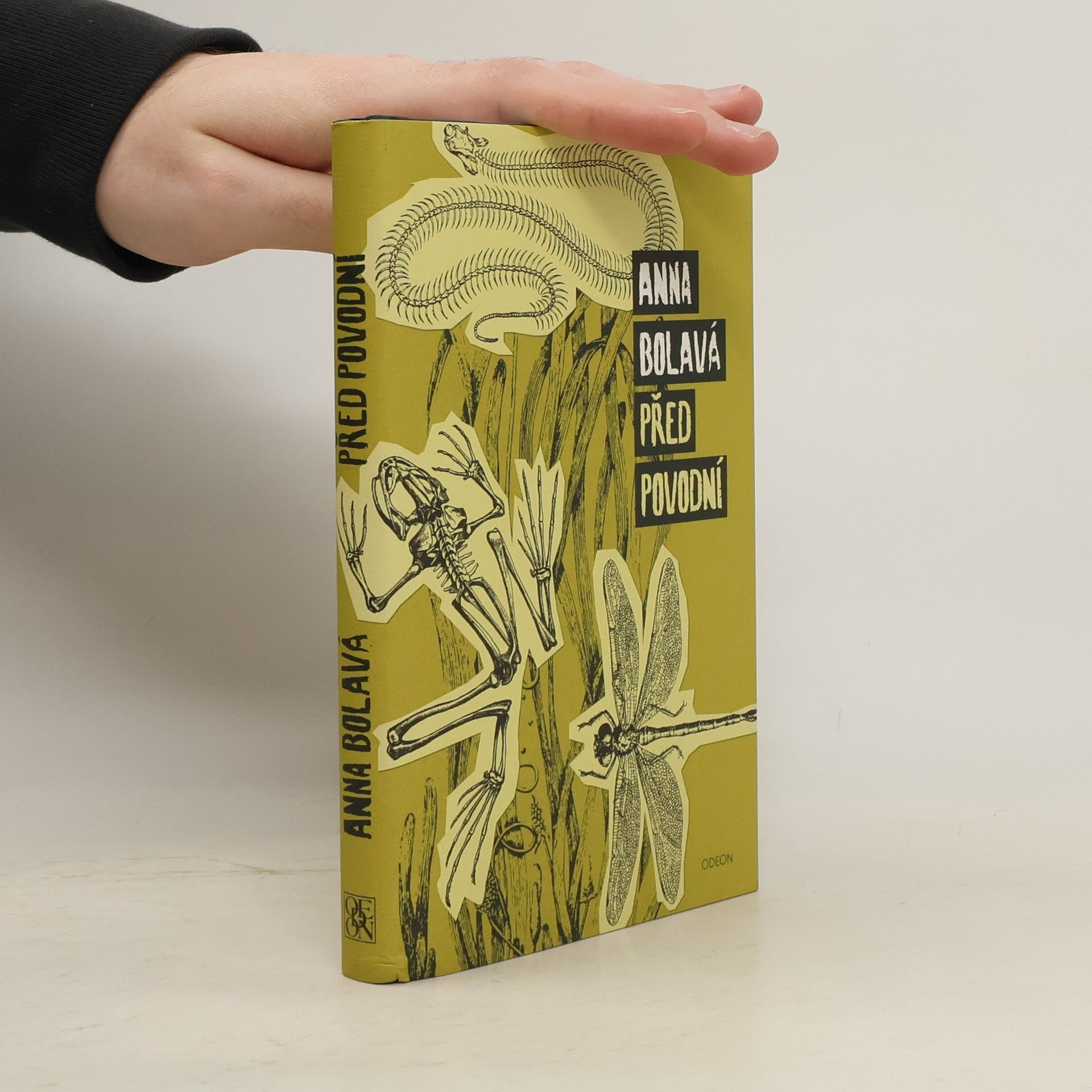 Anna Bolavá Před povodní