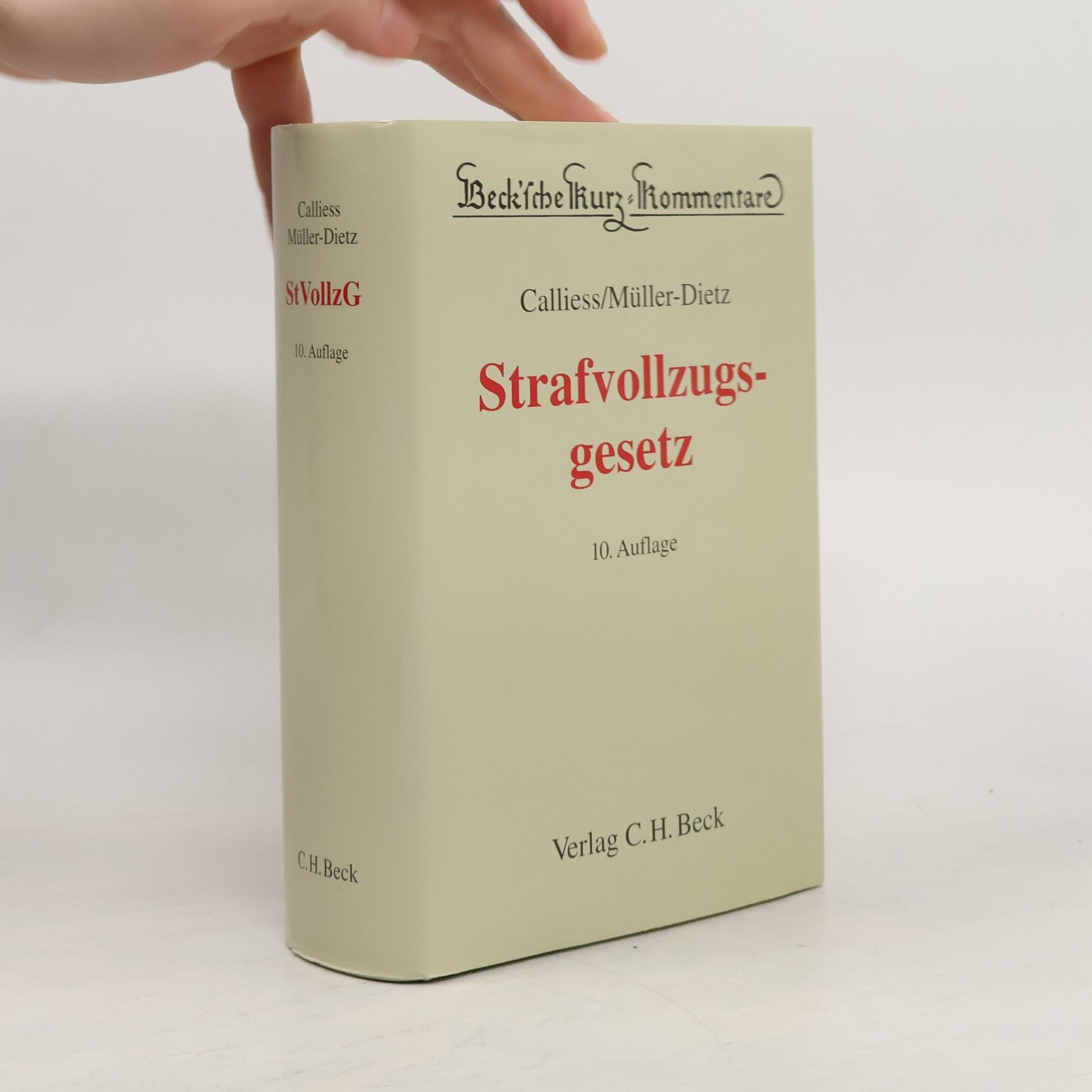 Strafvollzugsgesetz - 10. Auflage