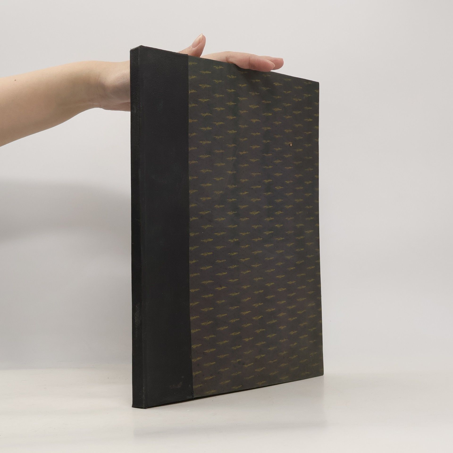 Kolektiv autorů Nález kostí lidských v Kostele sv. Petra a Pavla v Čáslavi jež pokládány za pozůstatky Jana Žižky z Trocnova