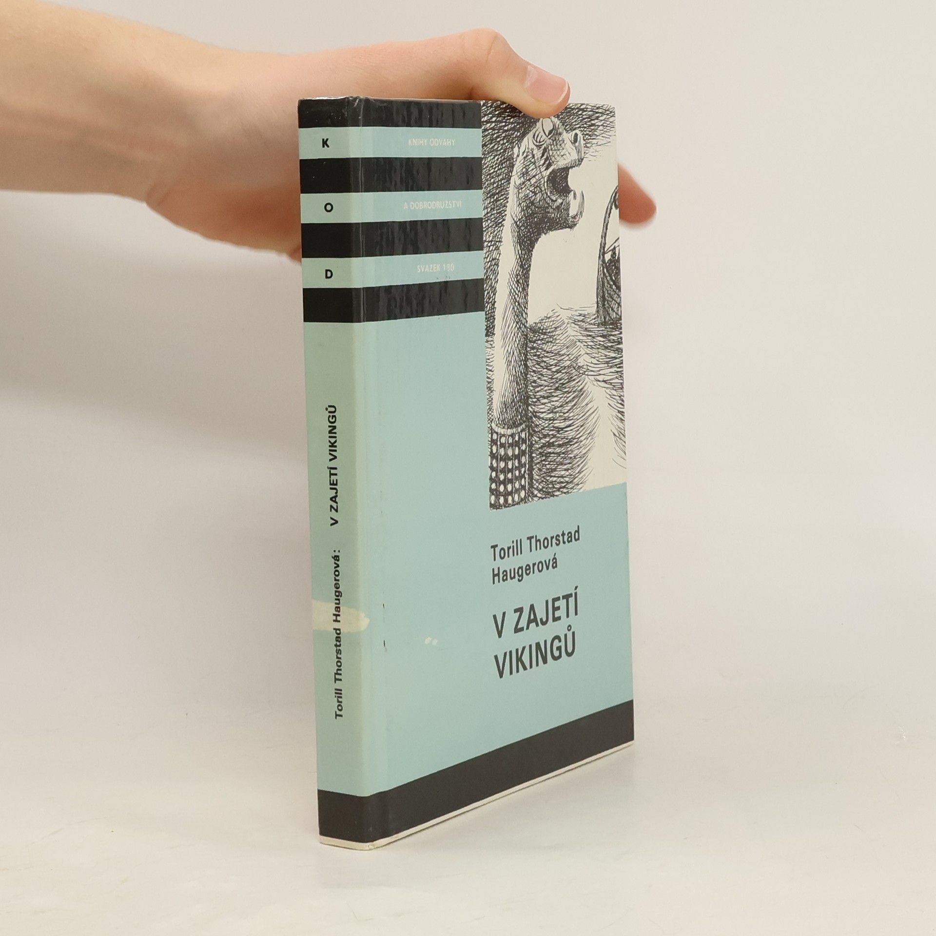 Torill Thorstad Hauger V zajetí vikingů