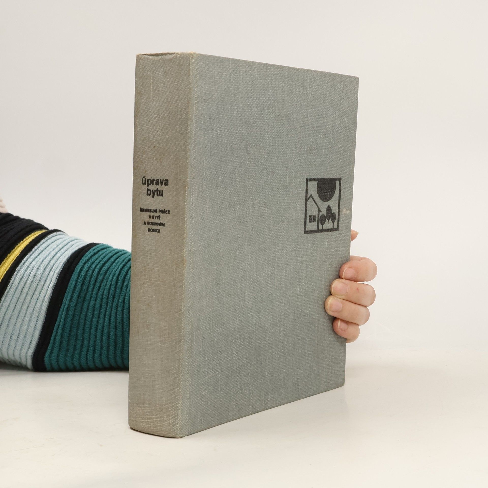 Kolektiv autorů Úprava bytu. Řemeslné práce v bytě a rodinném domku