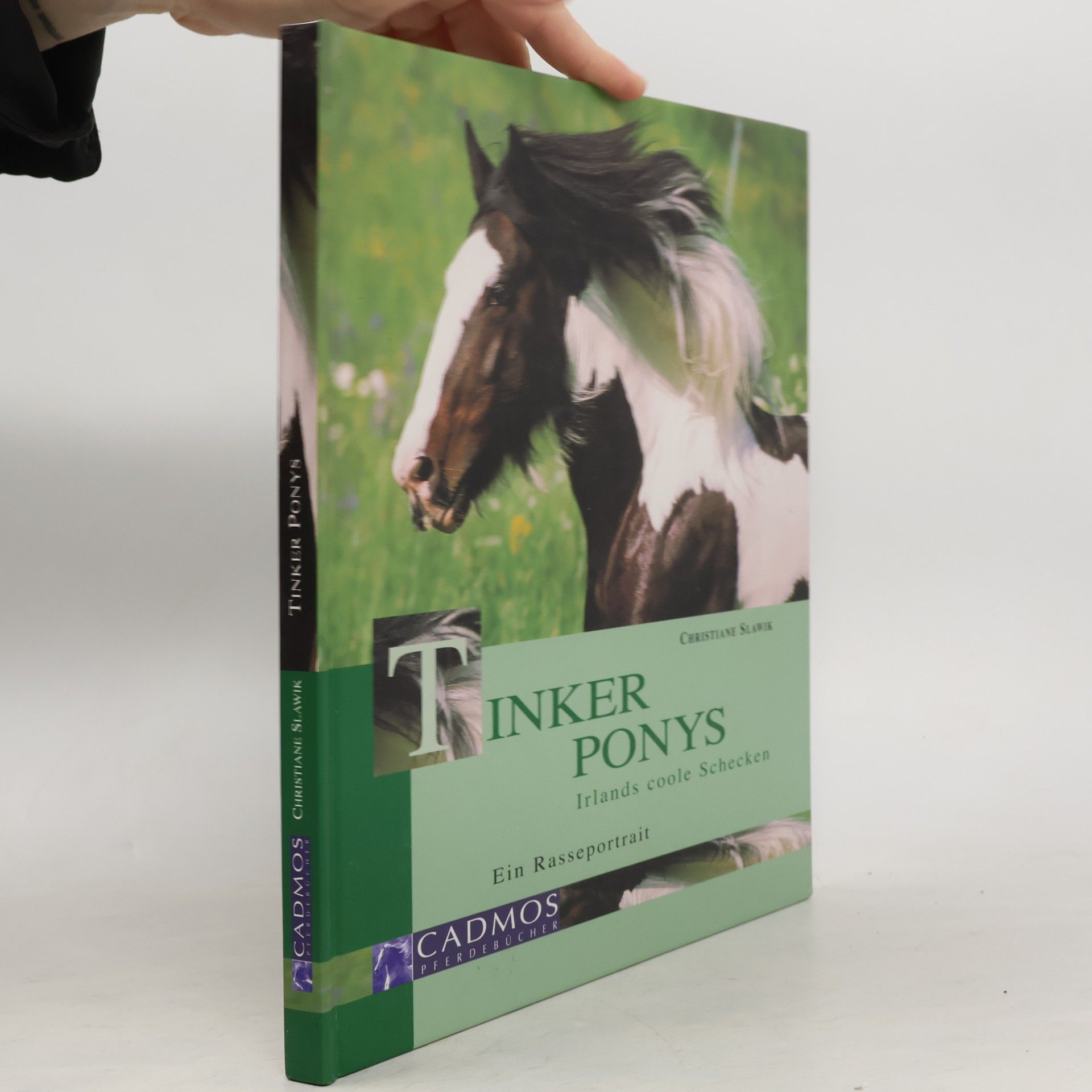Christiane Geipert Tinker Ponys