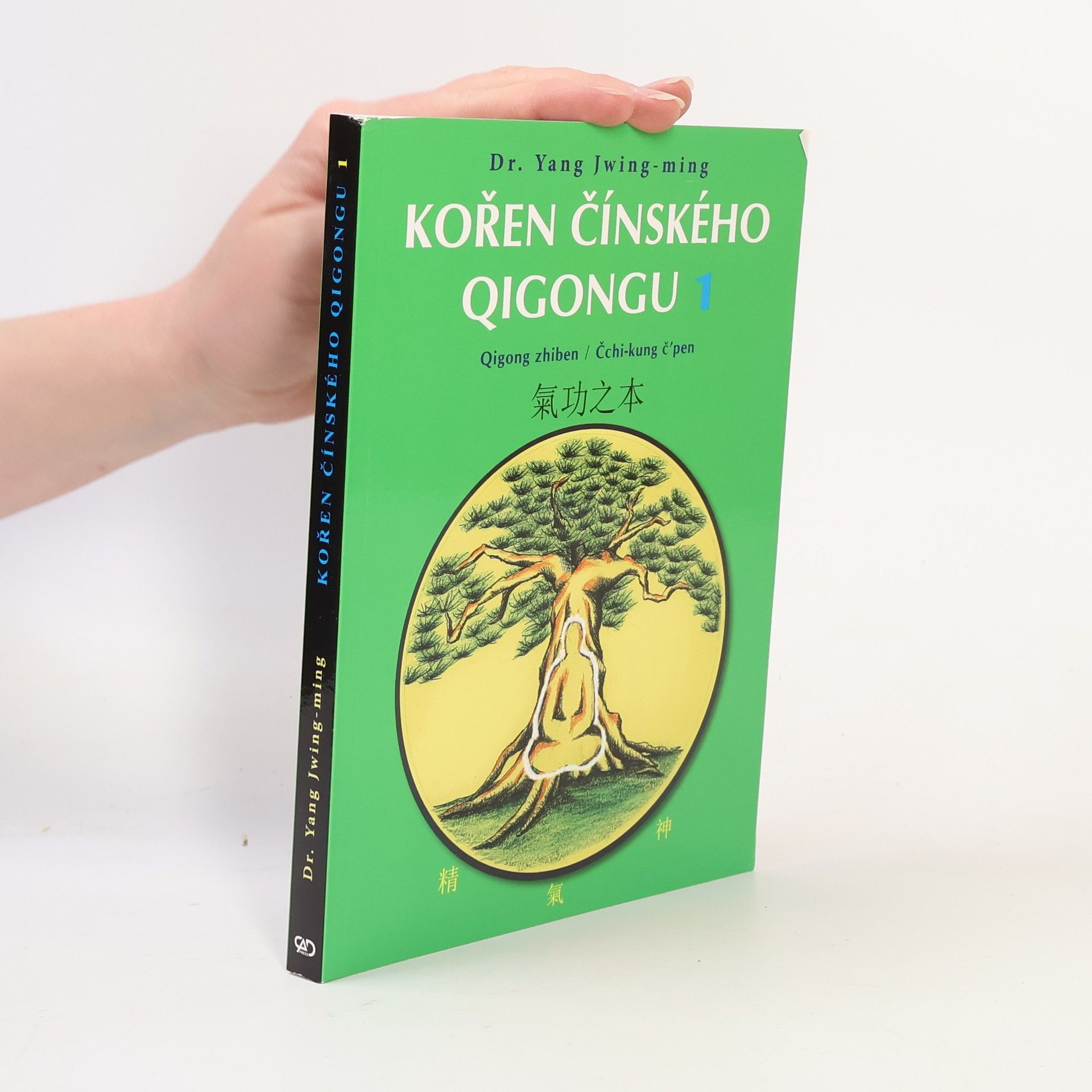 Kořen čínského qigongu 1