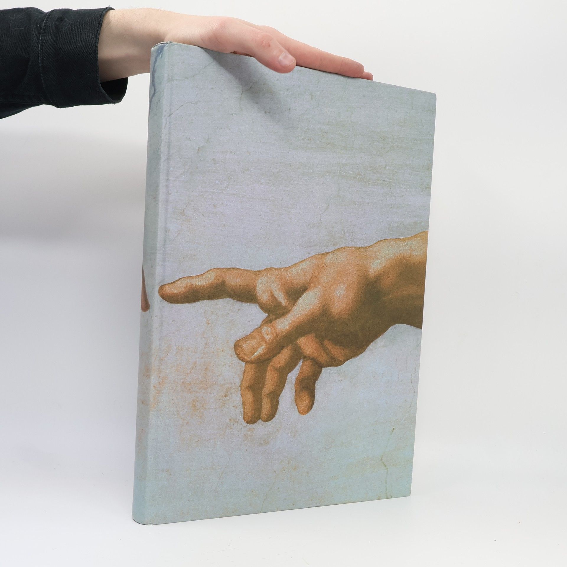 Simone Ferrari Das Geschenk der Malerei. Die schönsten Bilder von Giotto bis Goya