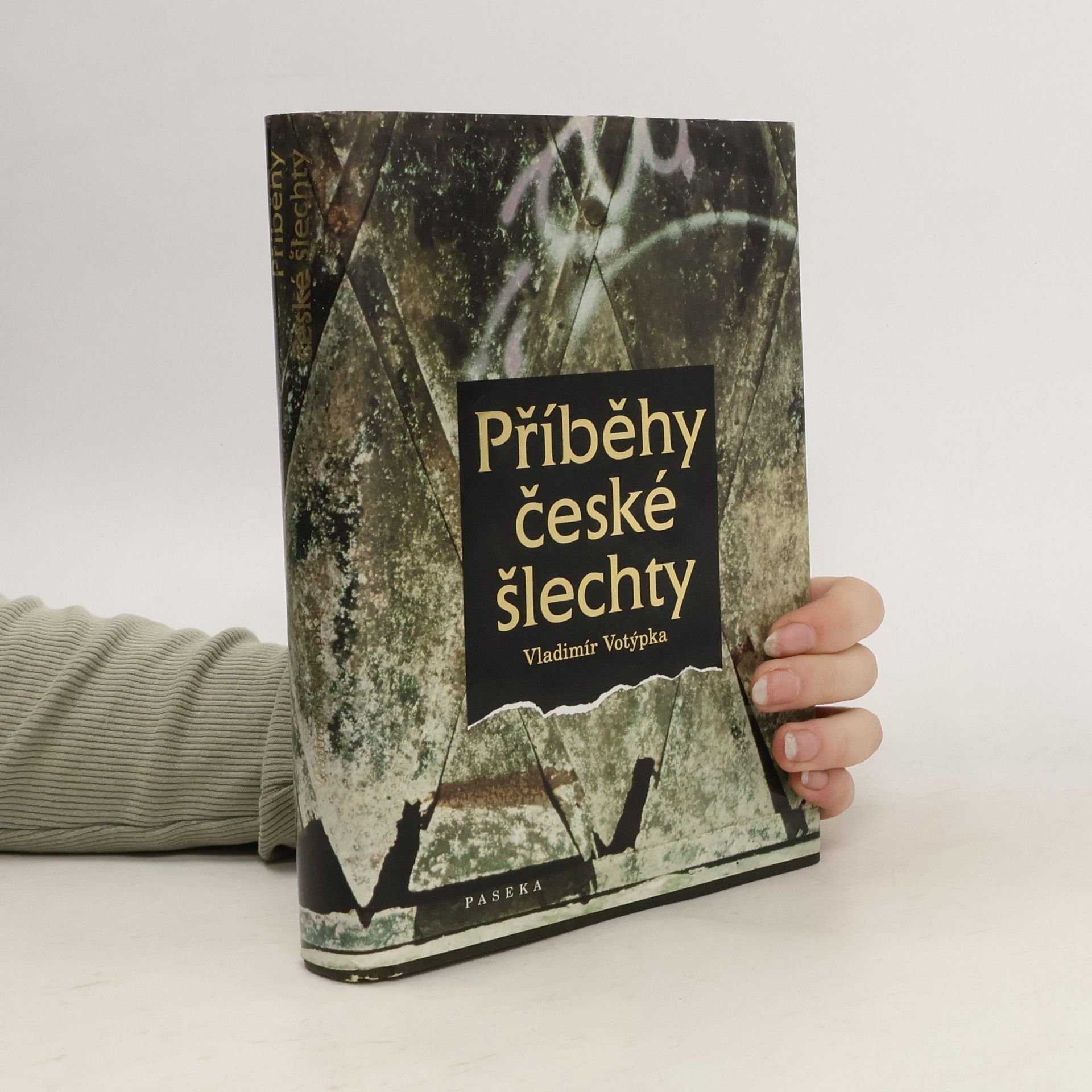 Vladimír Votýpka Příběhy české šlechty