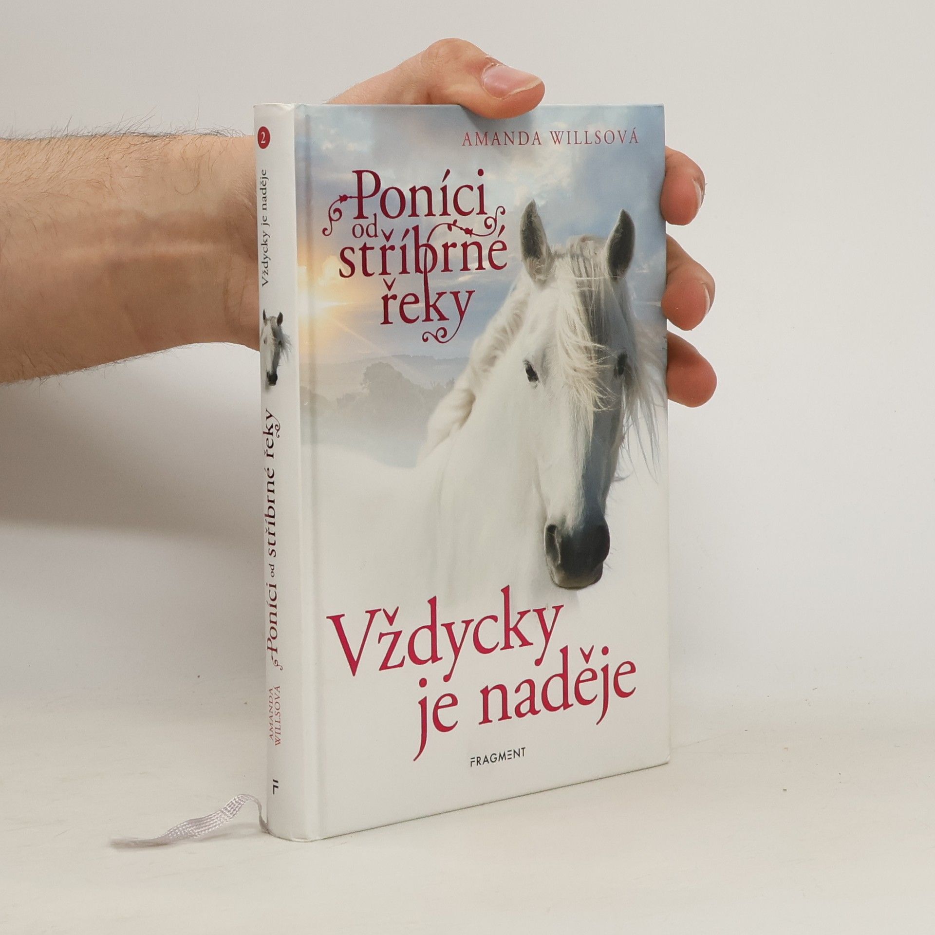 Amanda Wills Vždycky je naděje