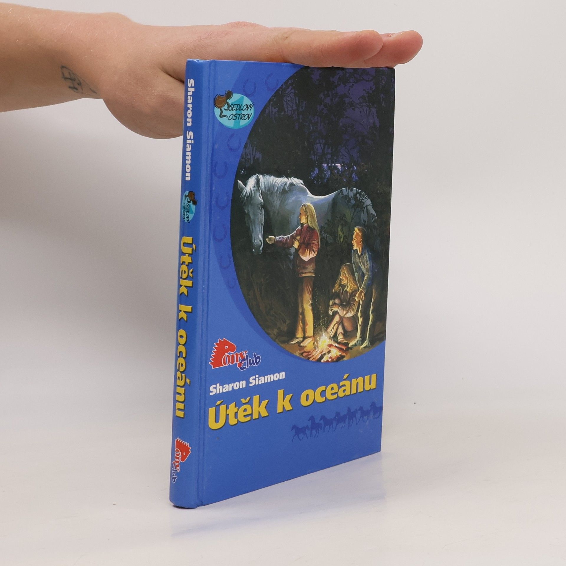 Sharon Siamon Útěk k oceánu