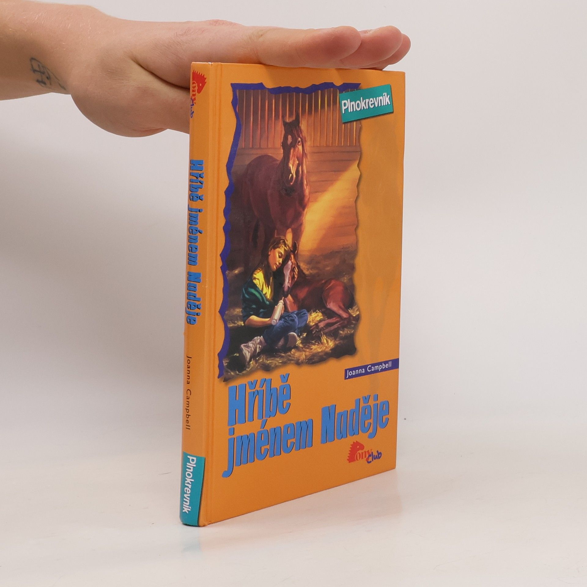 Joanna Campbell Hříbě jménem Naděje