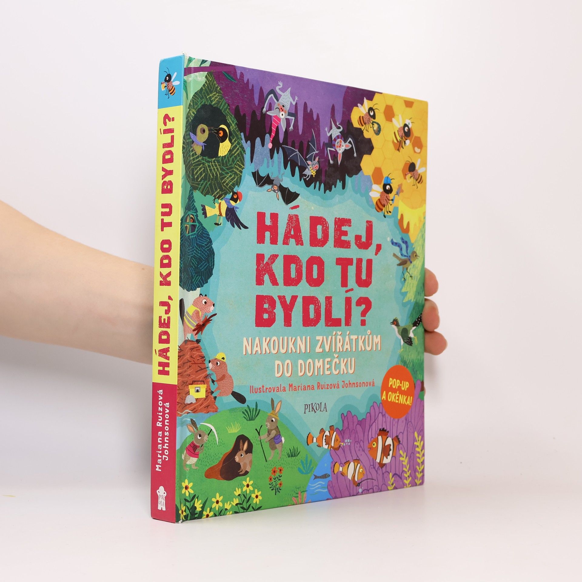 Ruth Symons Hádej, kdo tu bydlí? - Nakoukni zvířátkům do domečku