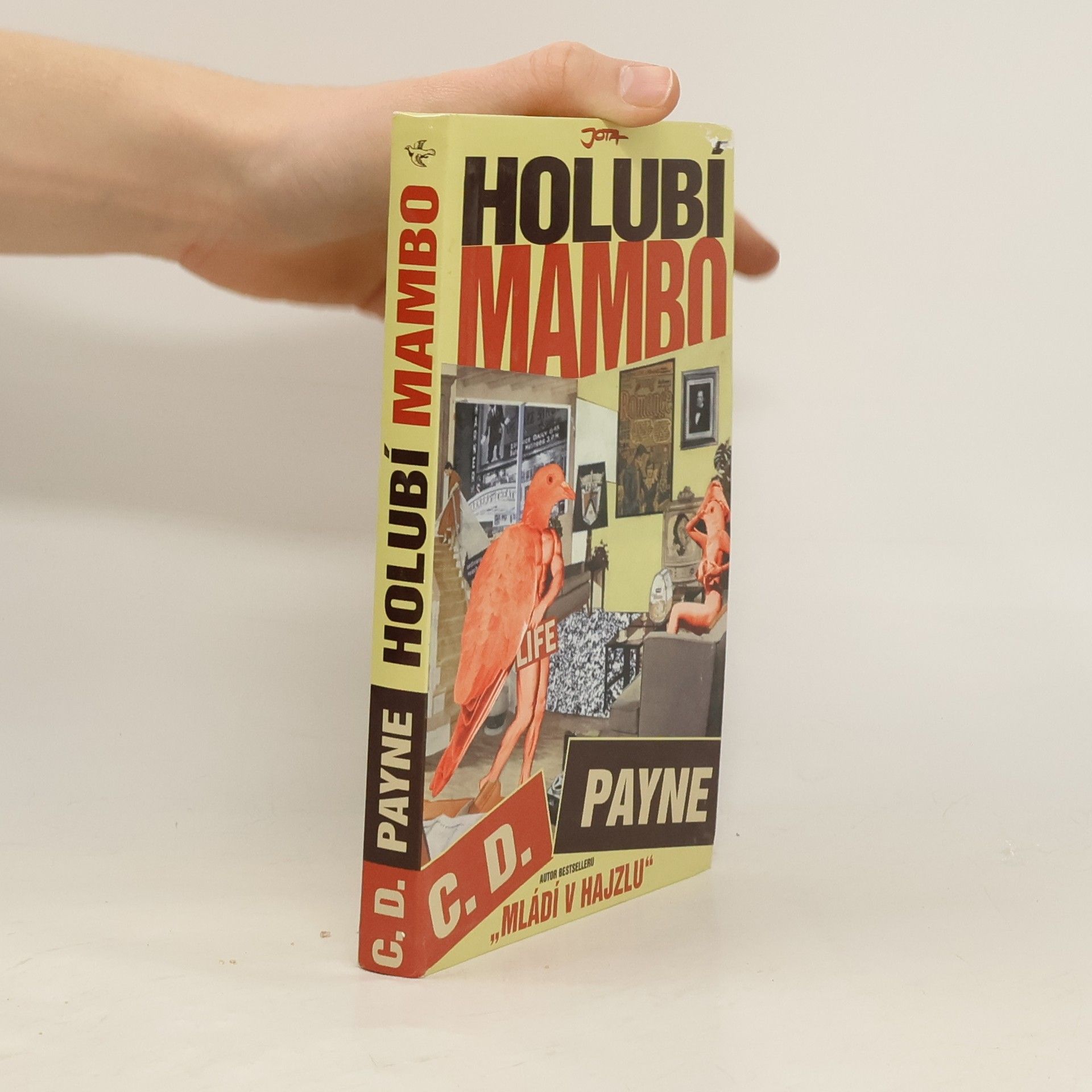 Tamara Váňová Holubí mambo