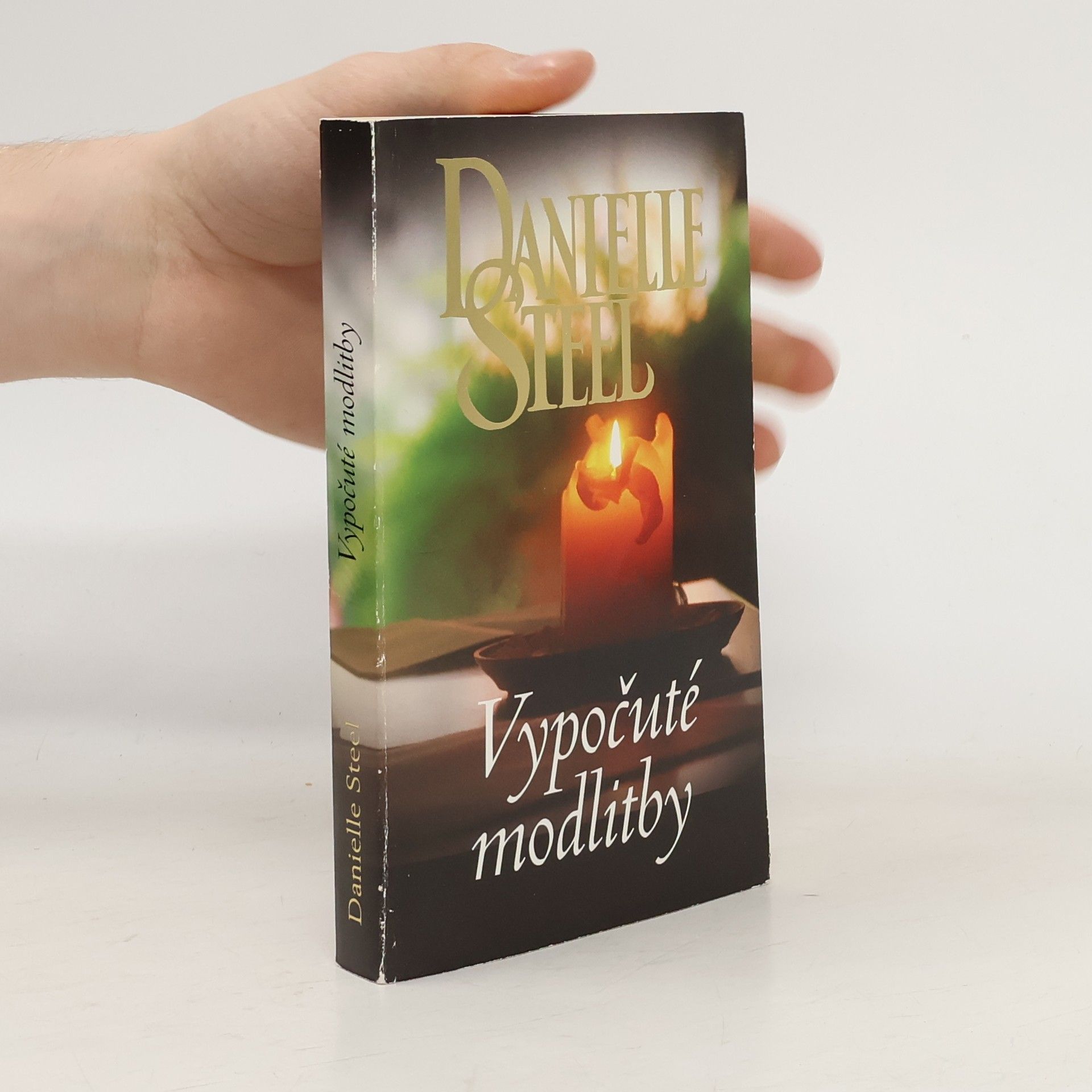 Danielle Steel Vypočuté modlitby