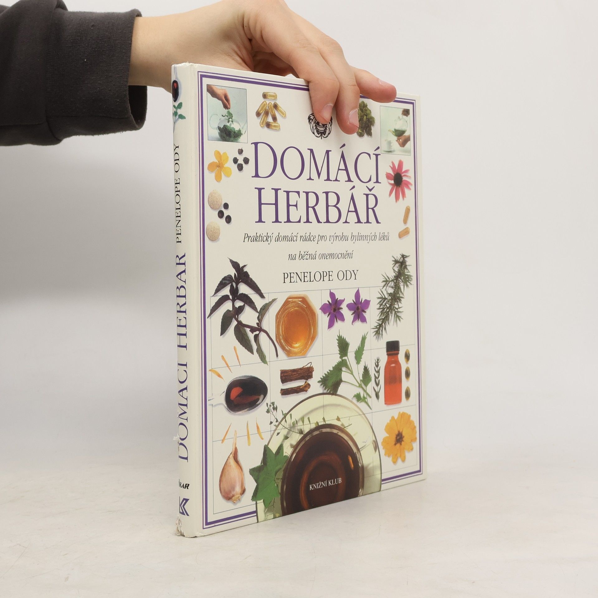 Pénélope Ody Domácí herbář : praktický domácí rádce pro výrobu bylinných léků na běžná onemocnění