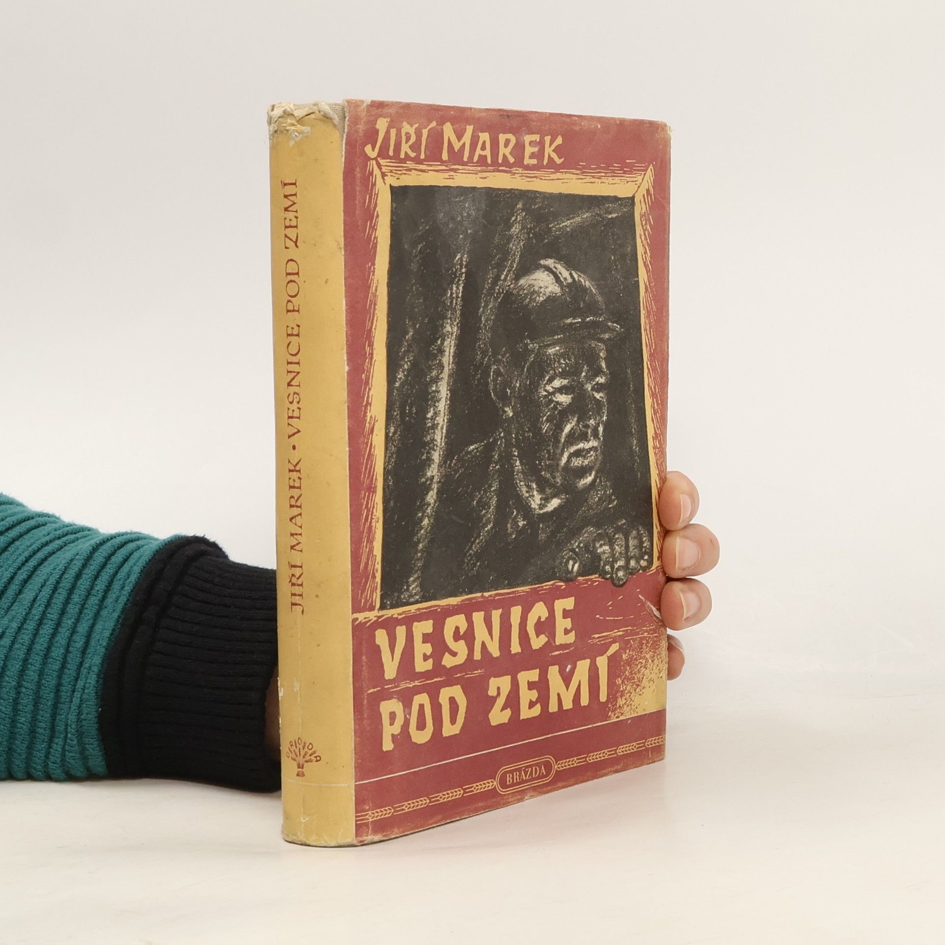 Jiří Marek Vesnice pod zemí