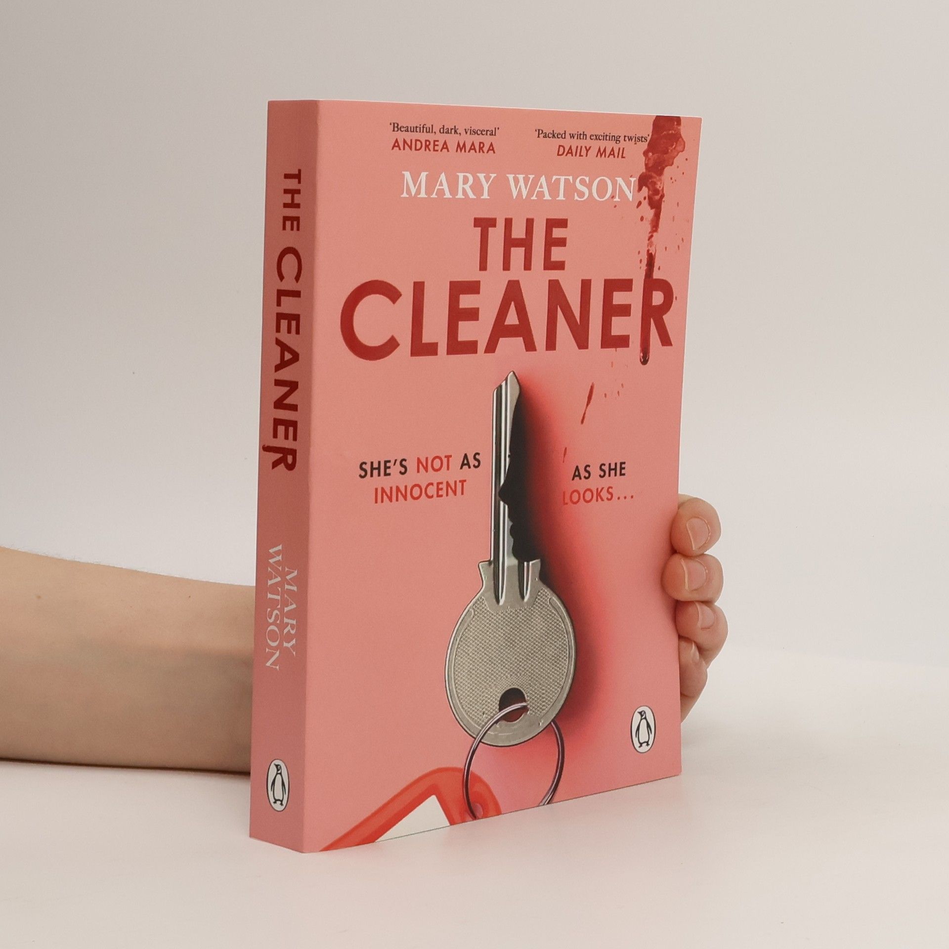 Mary Watson The Cleaner