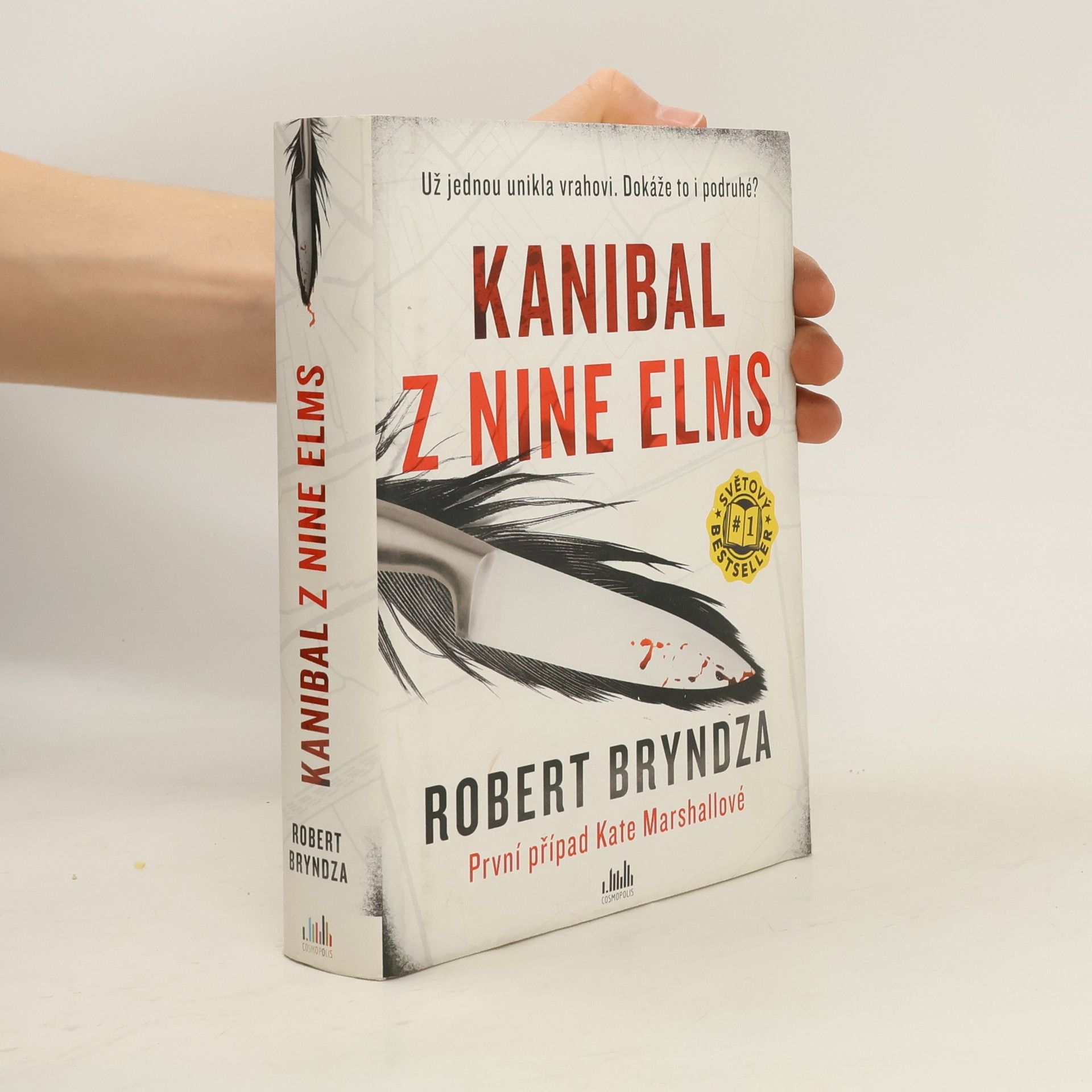 Robert Bryndza Kanibal z Nine Elms