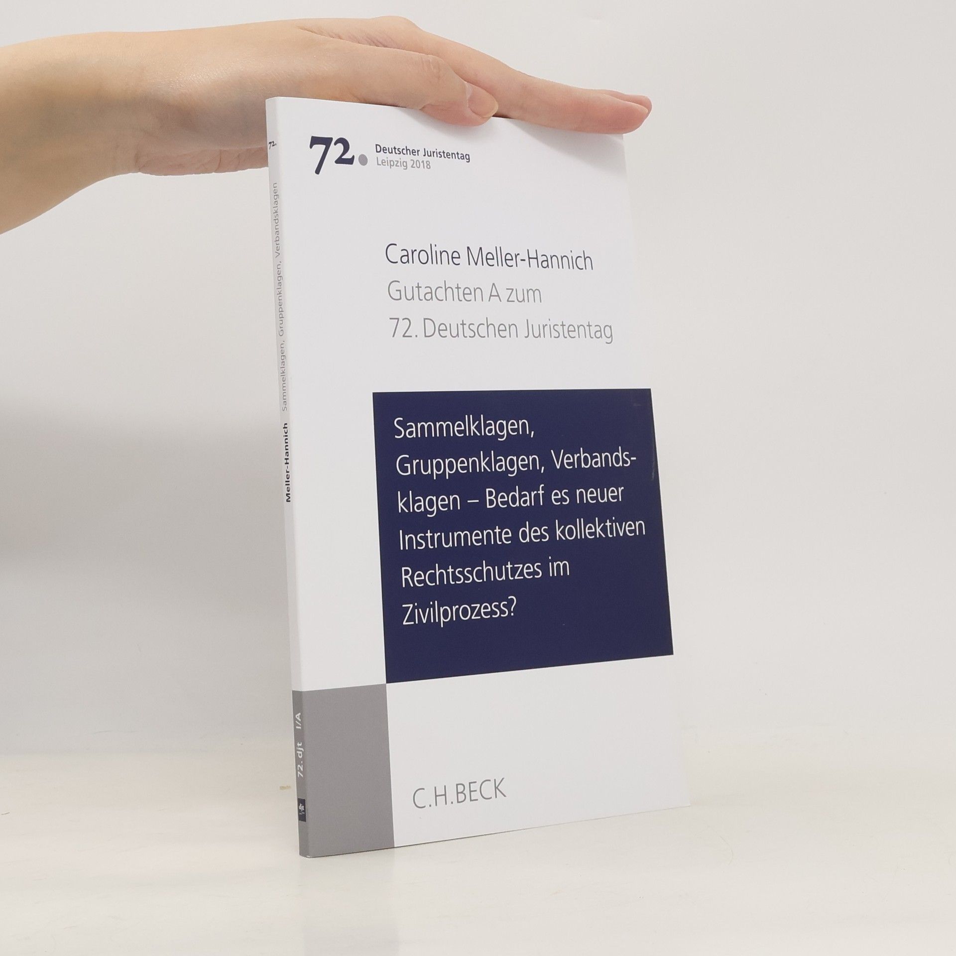 Caroline Meller-Hannich Sammelklagen, Gruppenklagen, Verbandsklagen - bedarf es neuer Instrumente des kollektiven Rechtsschutzes im Zivilprozess?