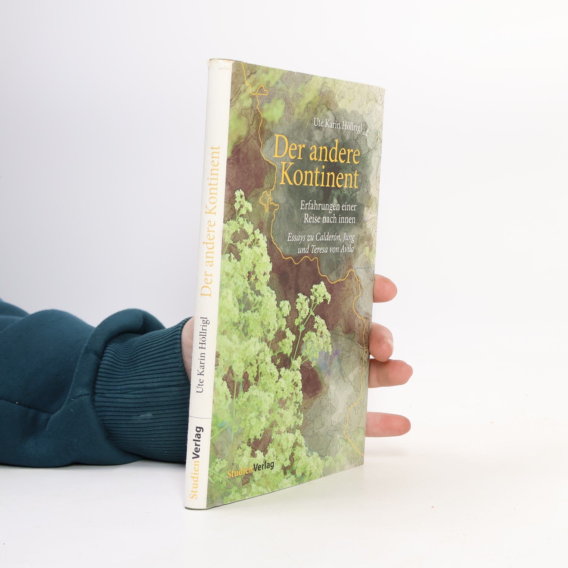 Ute Karin Höllrigl Der andere Kontinent