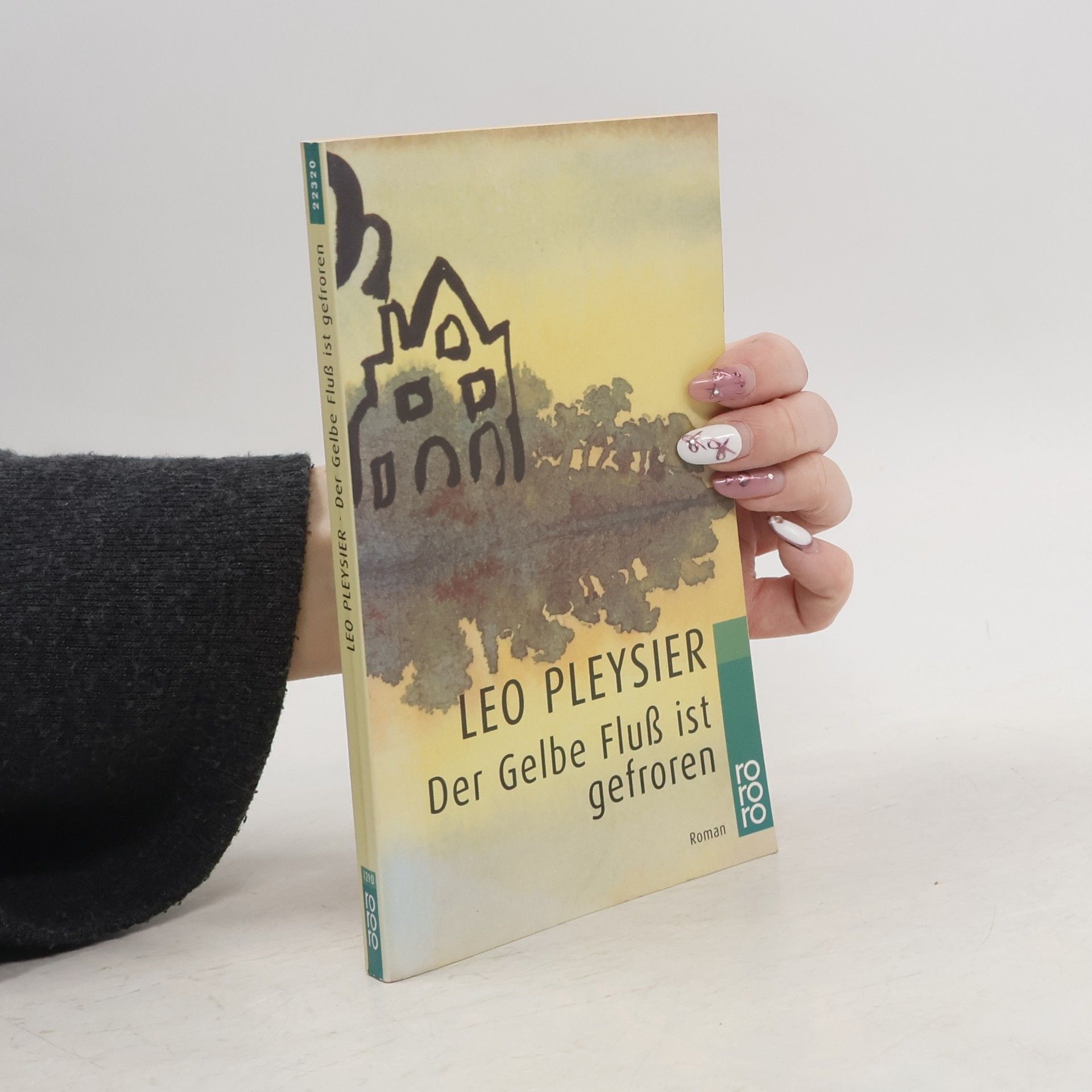 Leo Pleysier Der Gelbe Fluss ist gefroren