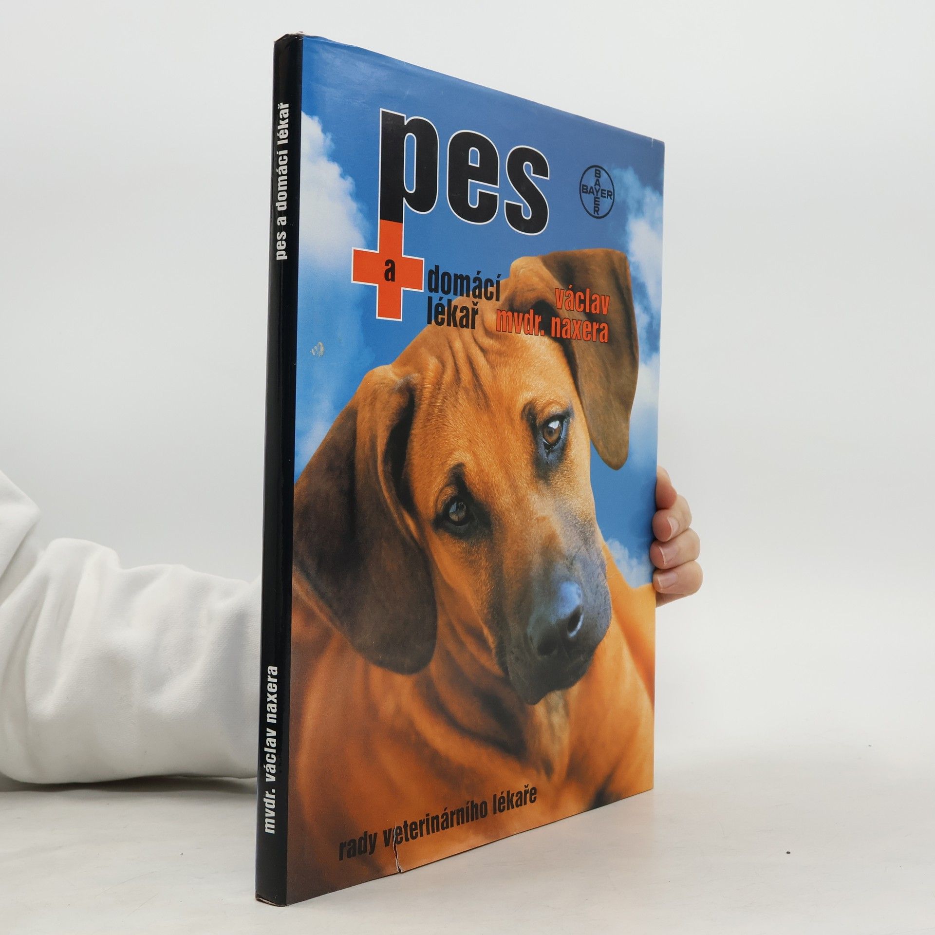 Pes a domácí lékař