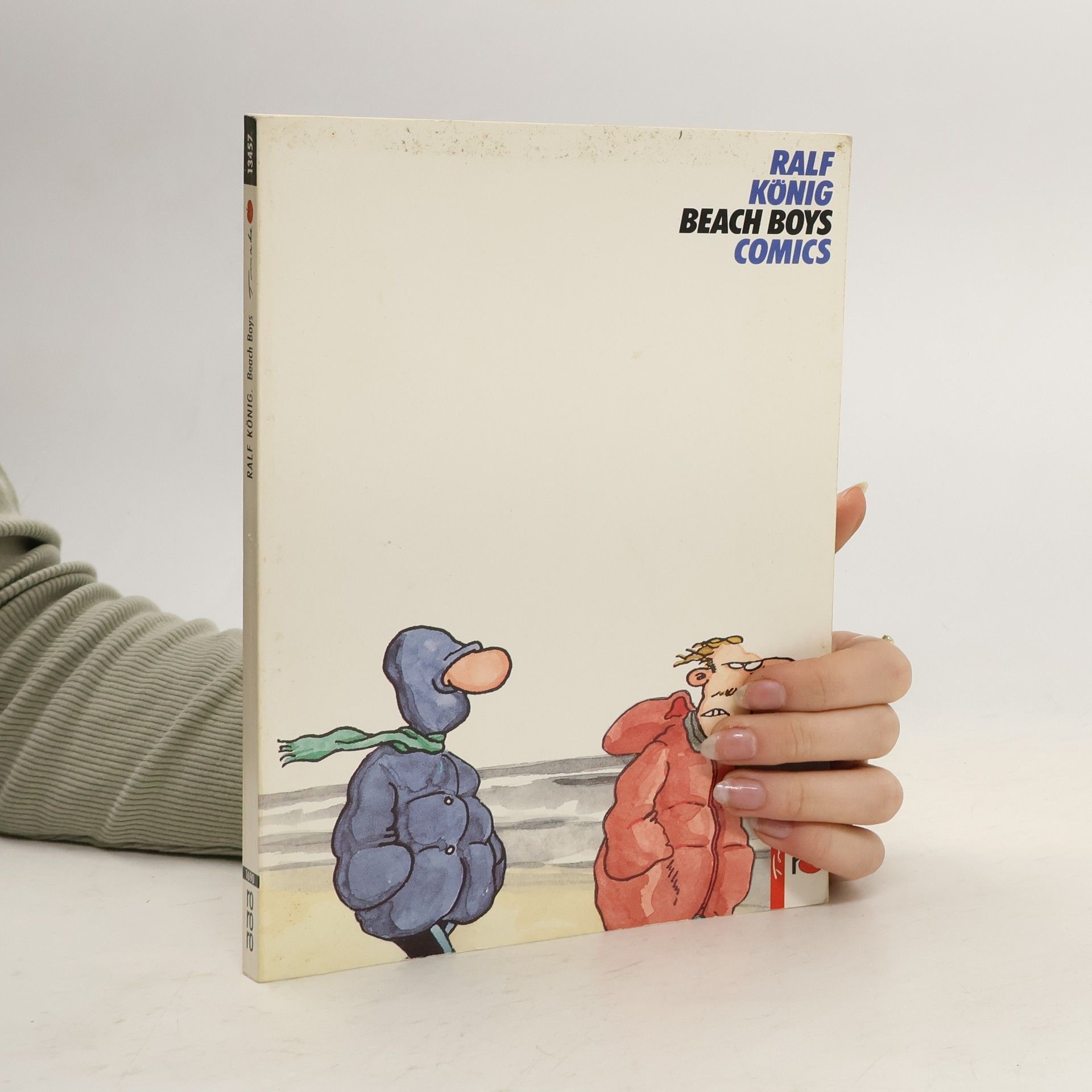 Ralf König Beach Boys