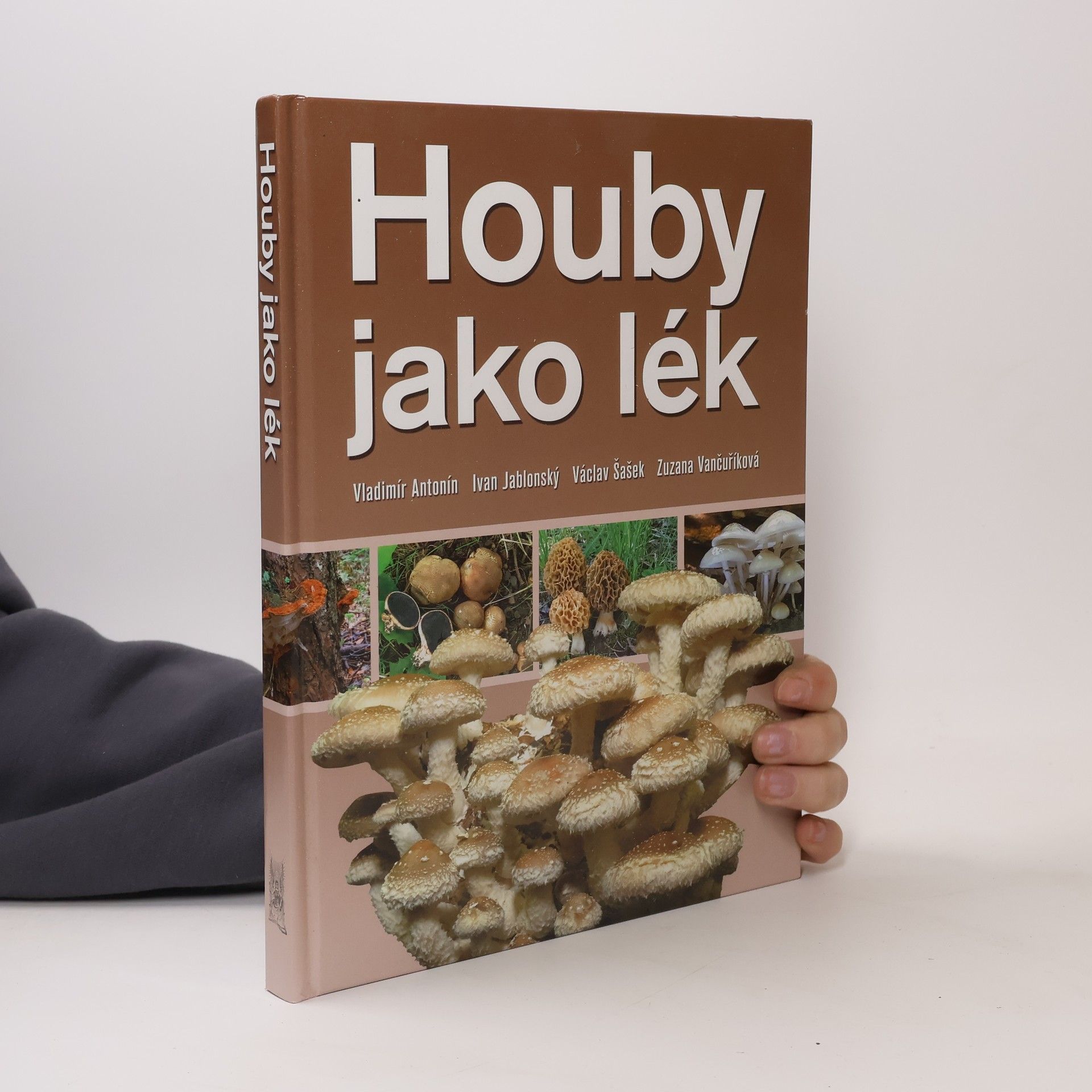 Vladimír Antonín Houby jako lék