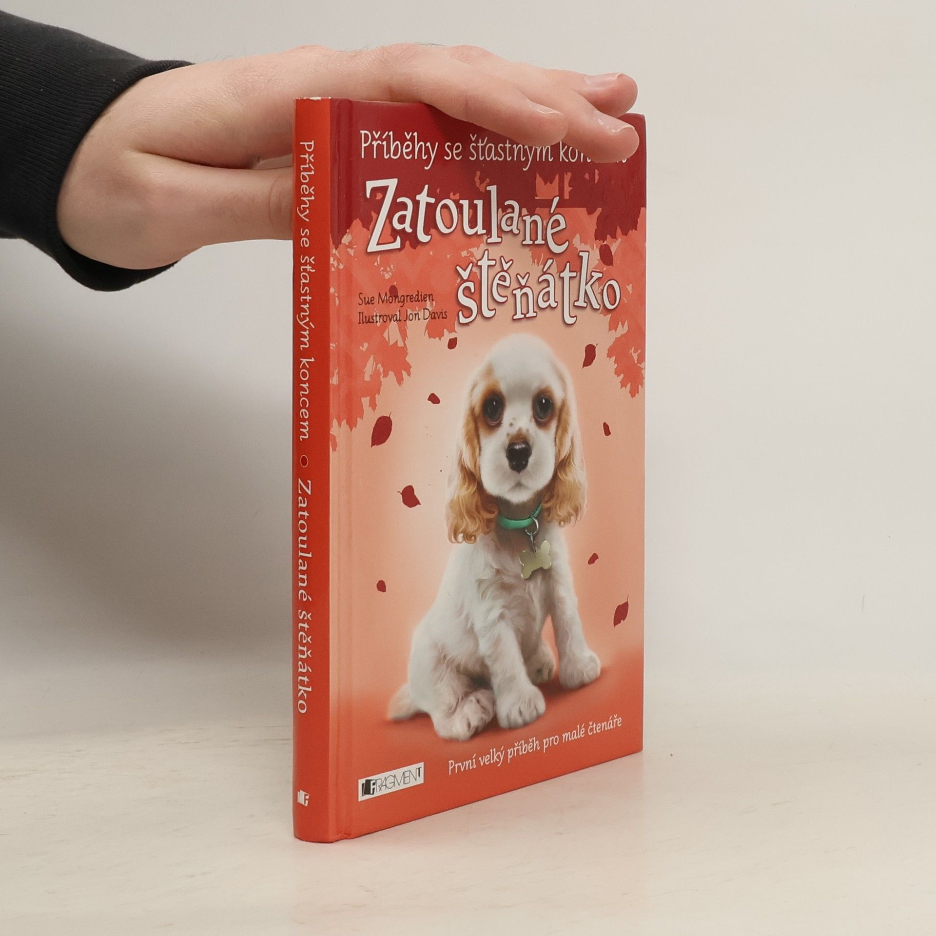 Jon Davis Zatoulané štěňátko