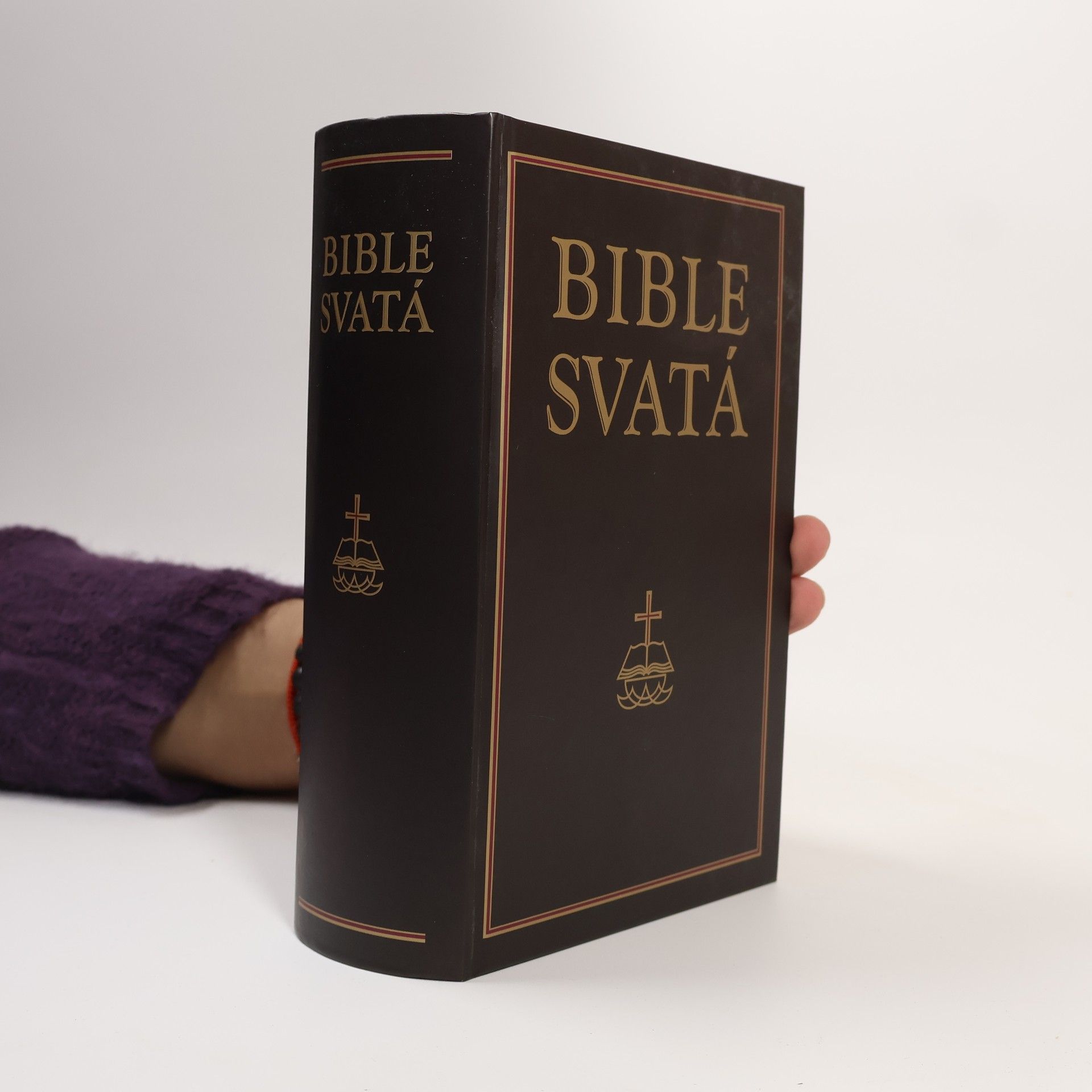 Autores varios Bible svatá aneb všecka svatá písma Starého i Nového zákona