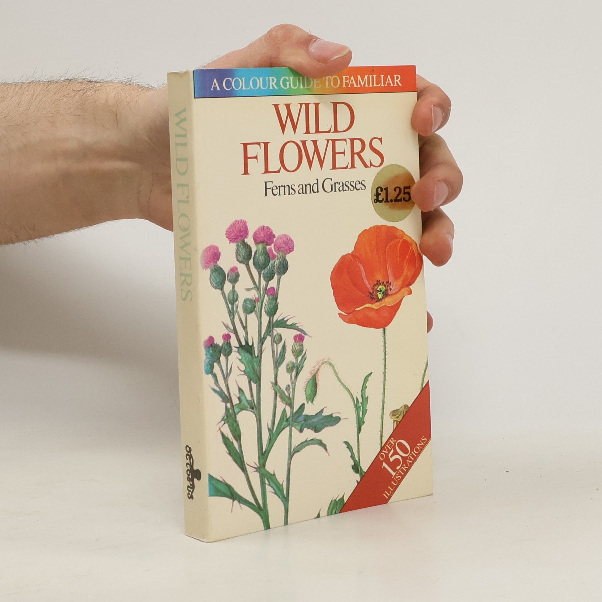 Bohumil Slavík Wild Flowers: Ferns and Grasses