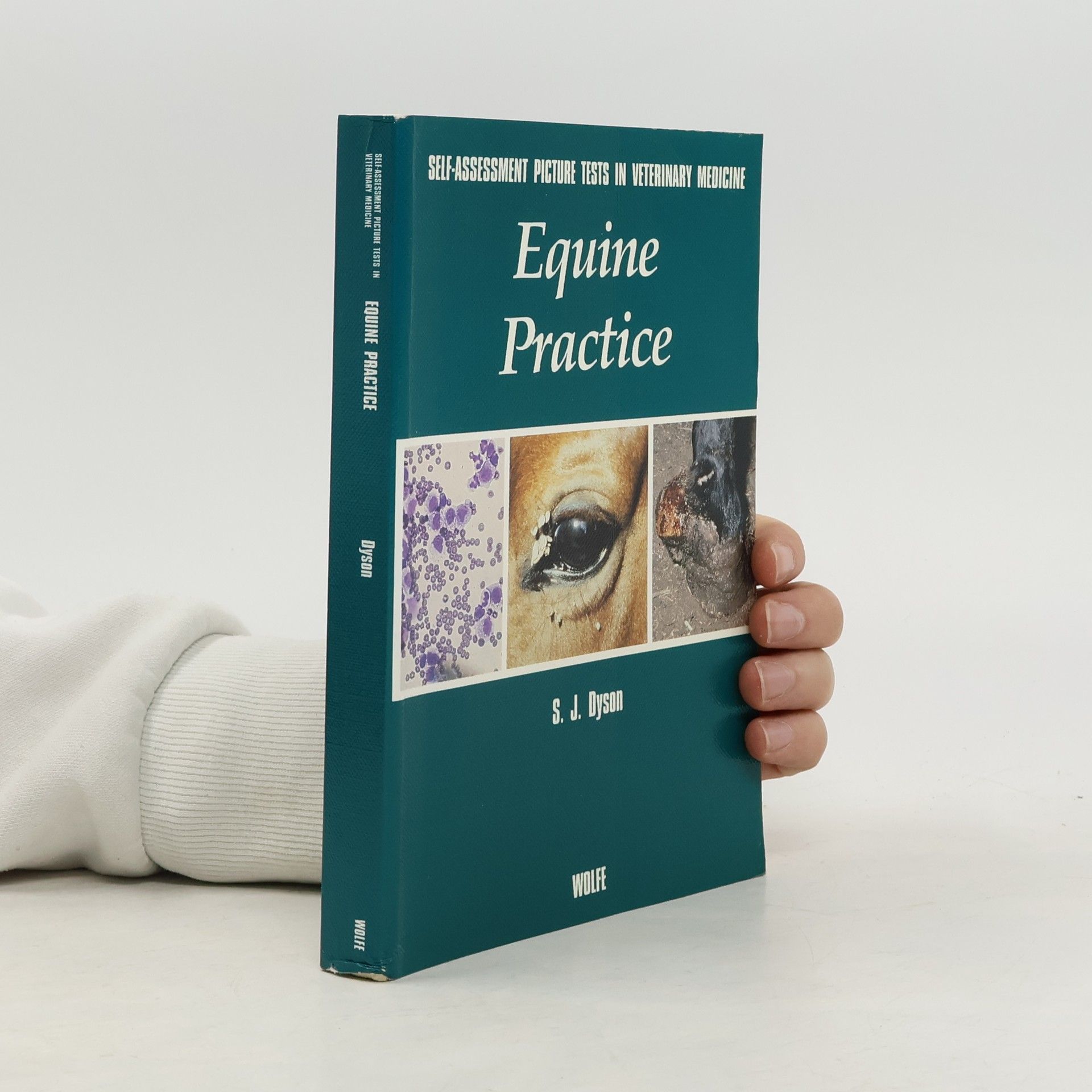Sue J. Dyson Self-Assessment Picture Tests in Veterinary Medicine: Equine Practice
