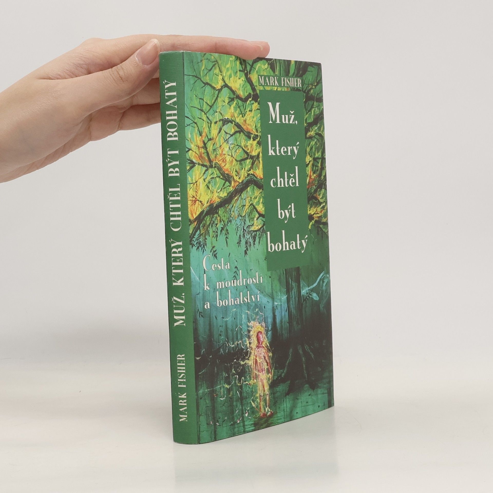 Mark Fisher Muž, který chtěl být bohatý