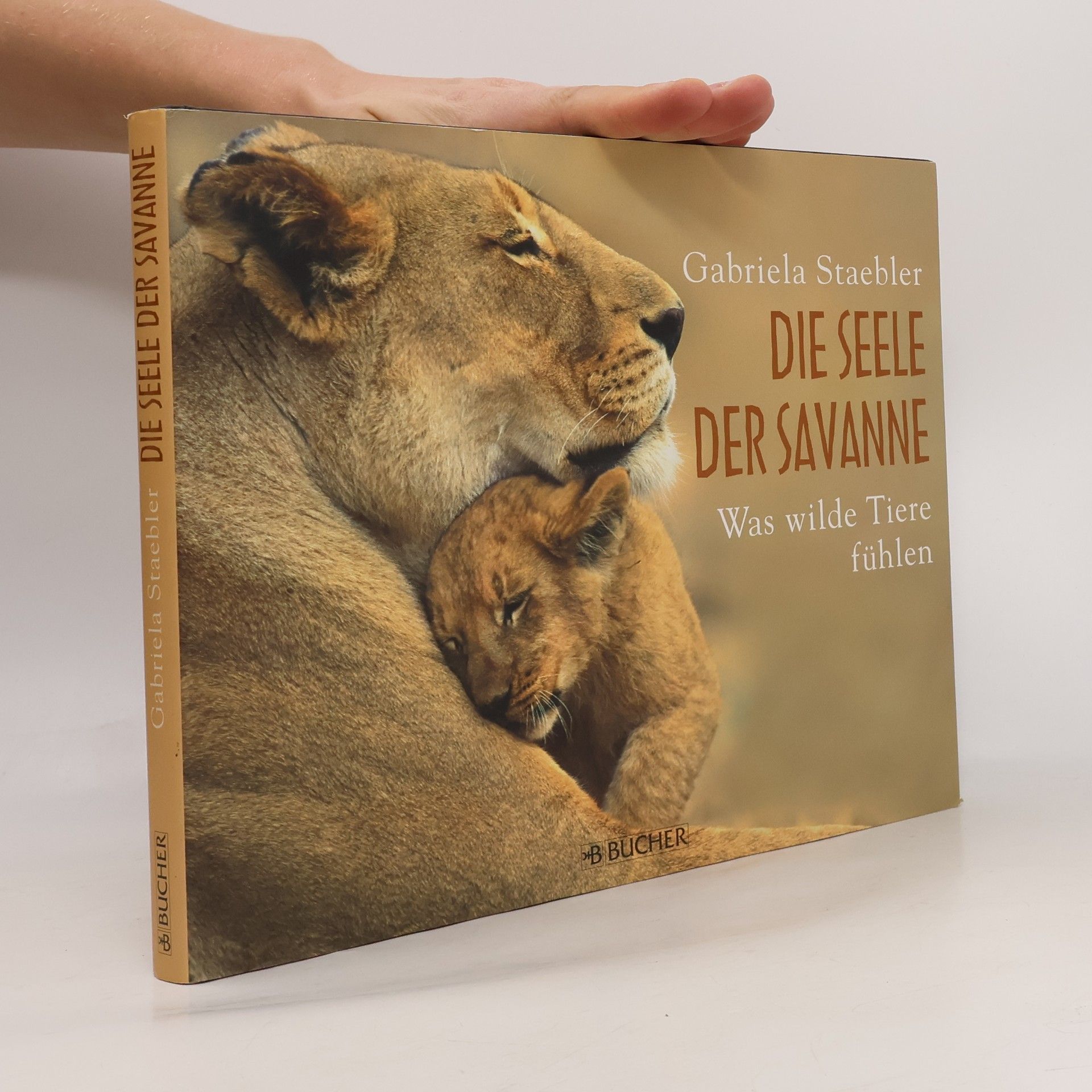 Gabriela Staebler Die Seele der Savanne