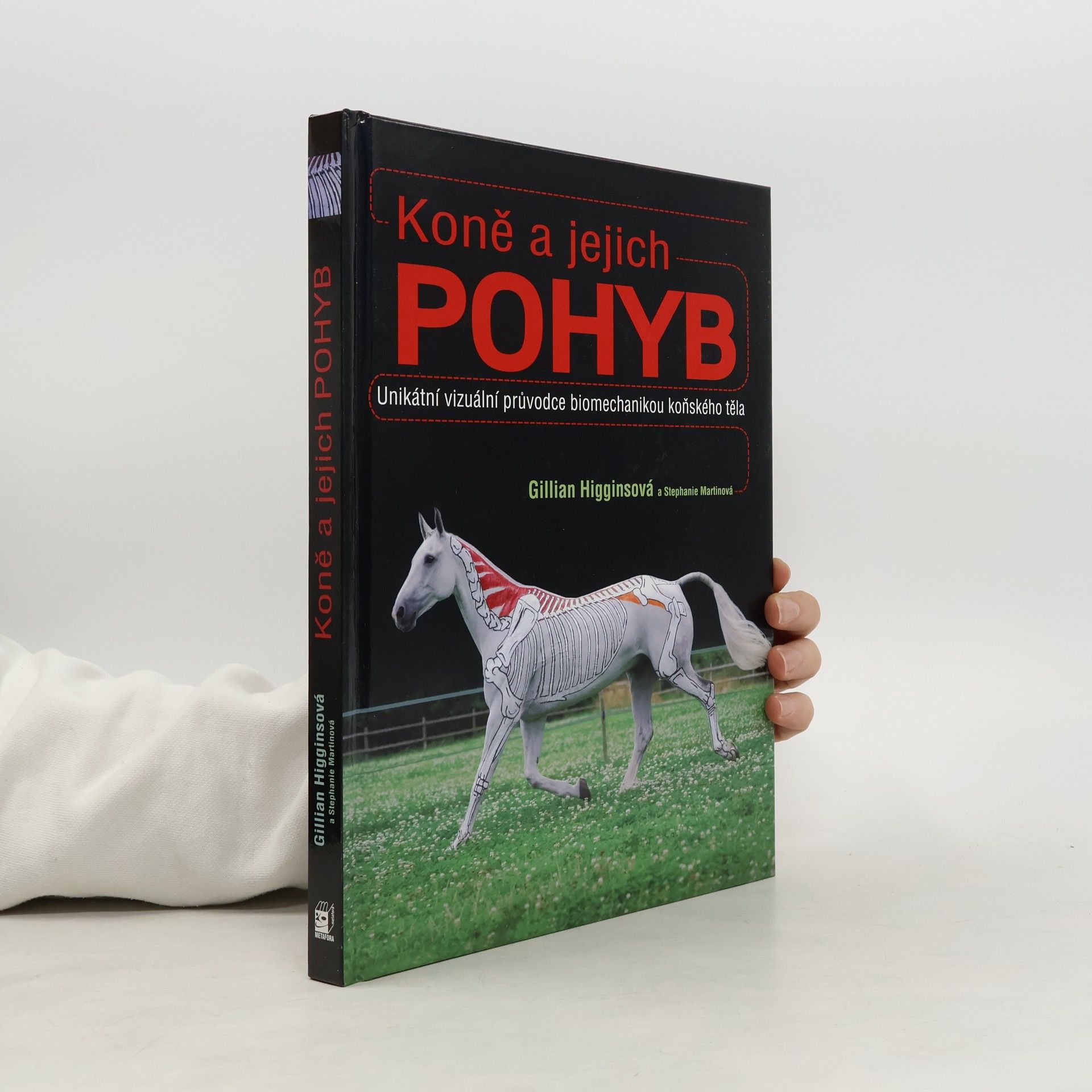 Koně a jejich pohyb