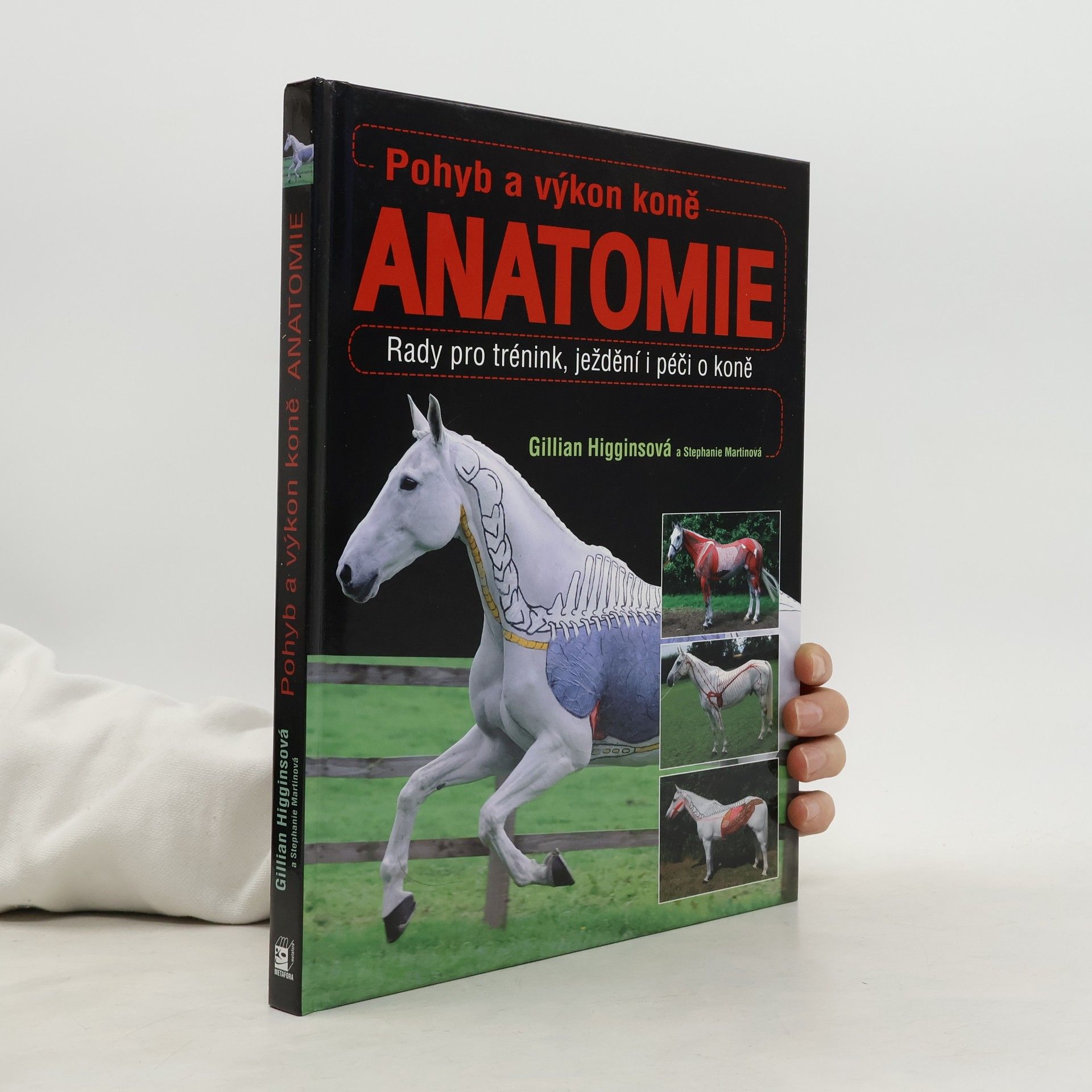 Gillian Higgins Pohyb a výkon koně. Anatomie