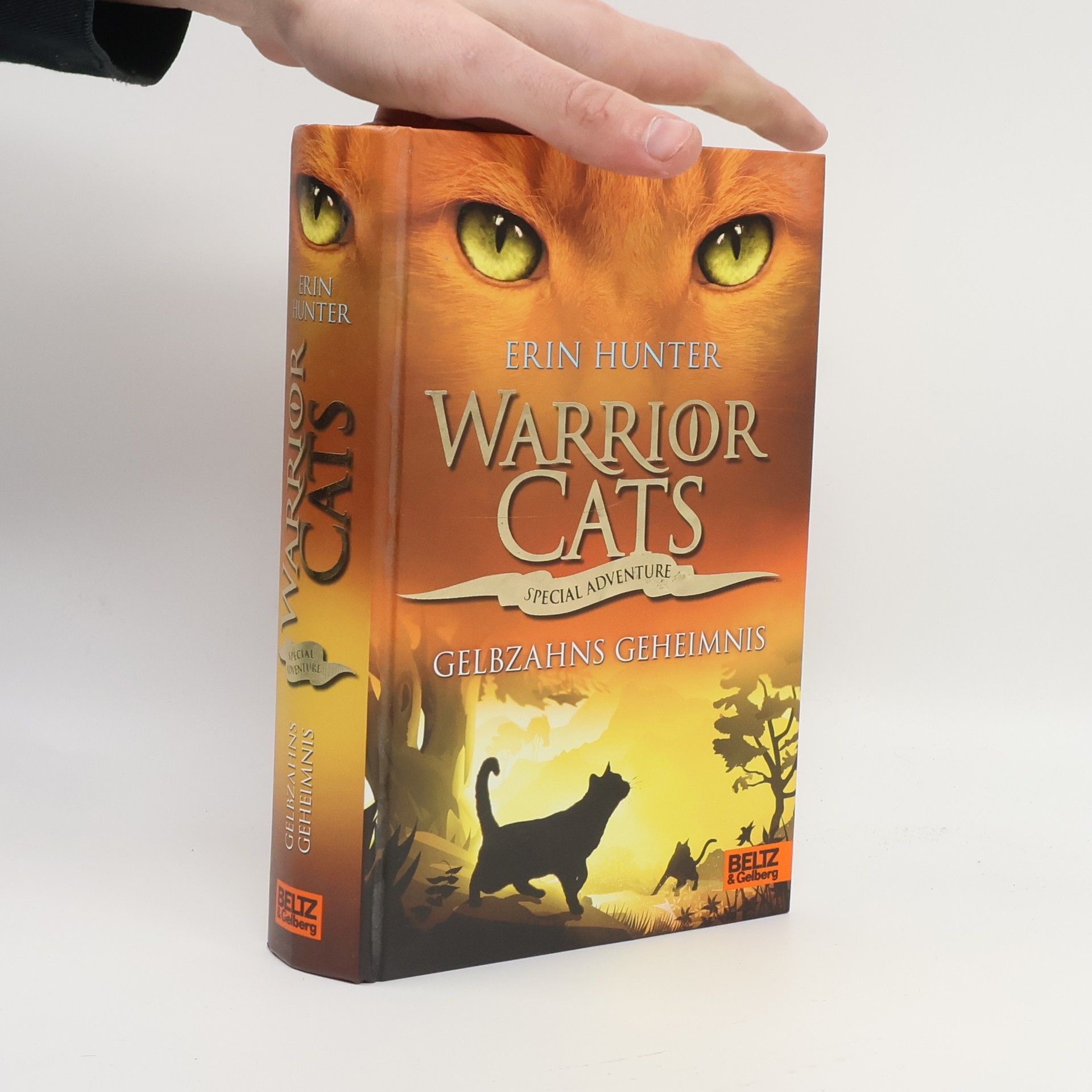 Erin Hunter Gelbzahns Geheimnis