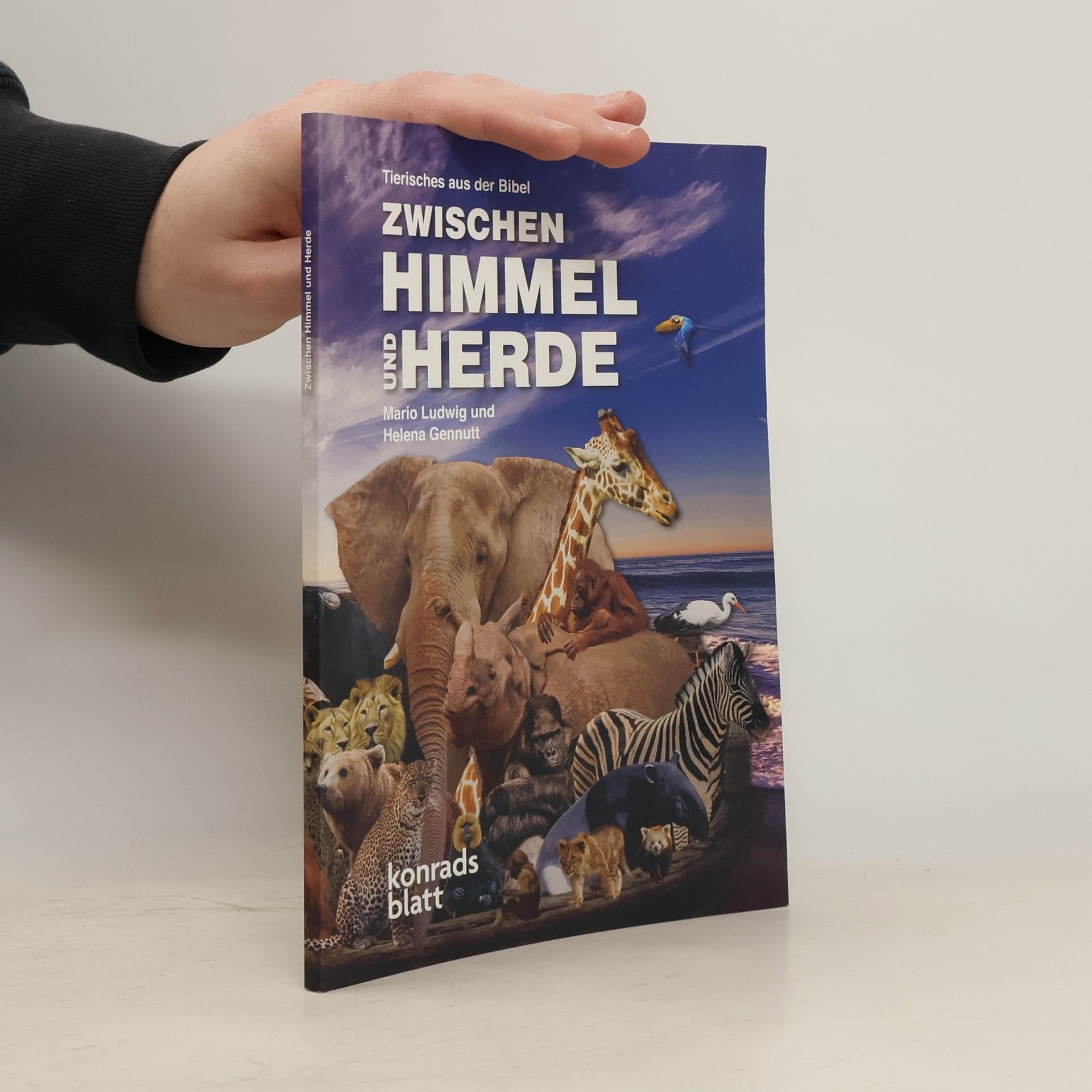 Zwischen Himmel und Herde