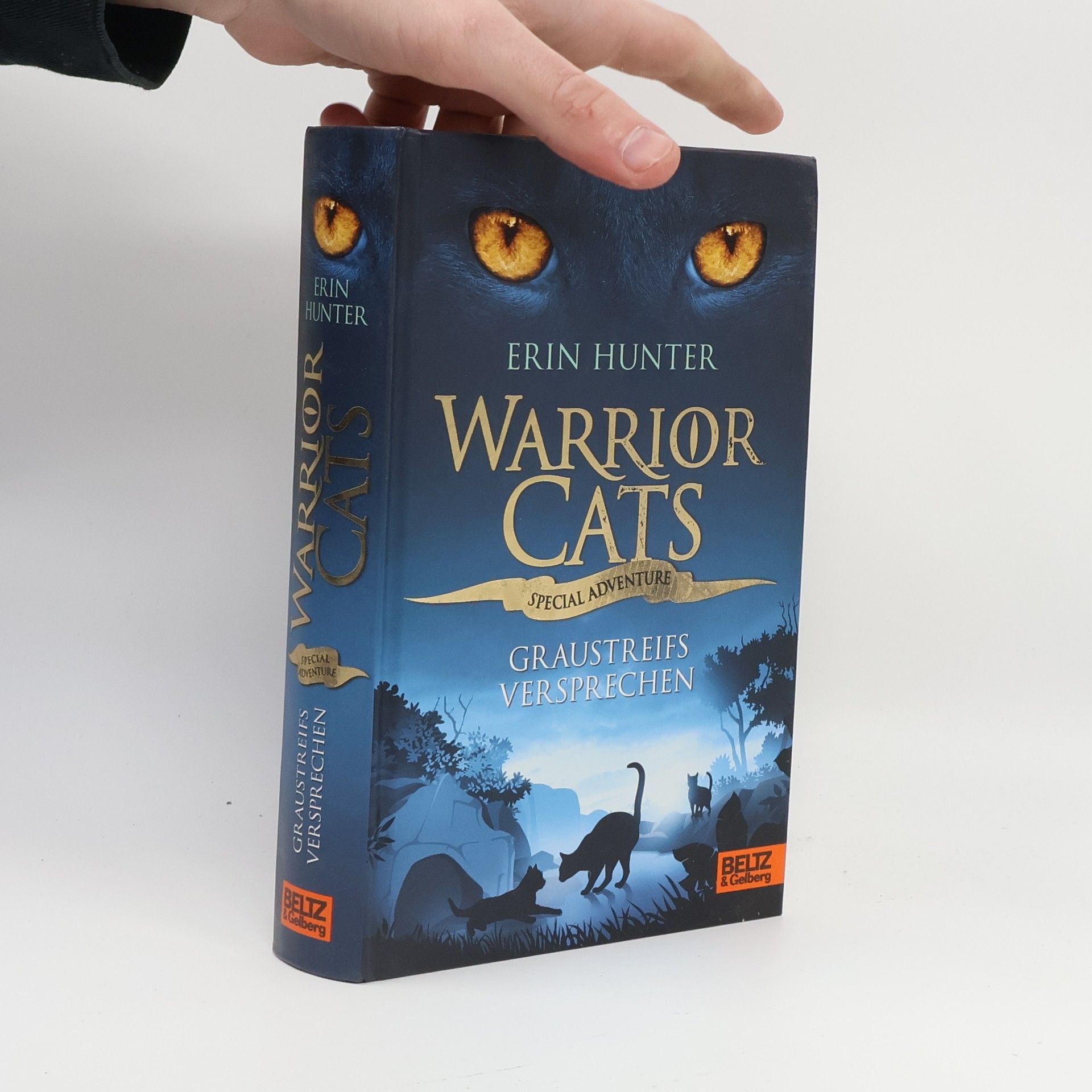 Erin Hunter Warrior Cats. Graustreifs Versprechen
