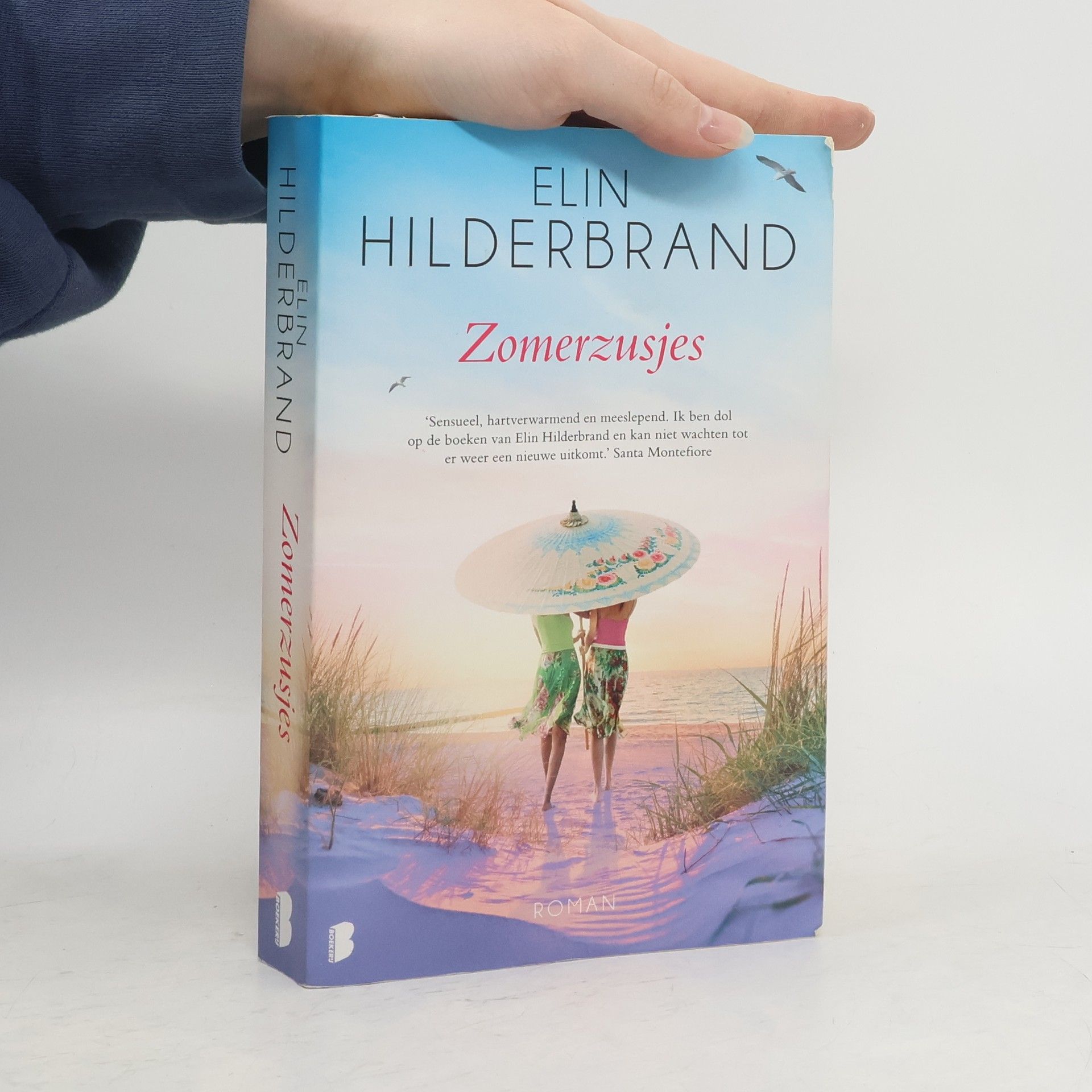 Elin Hilderbrand Zomerzusjes
