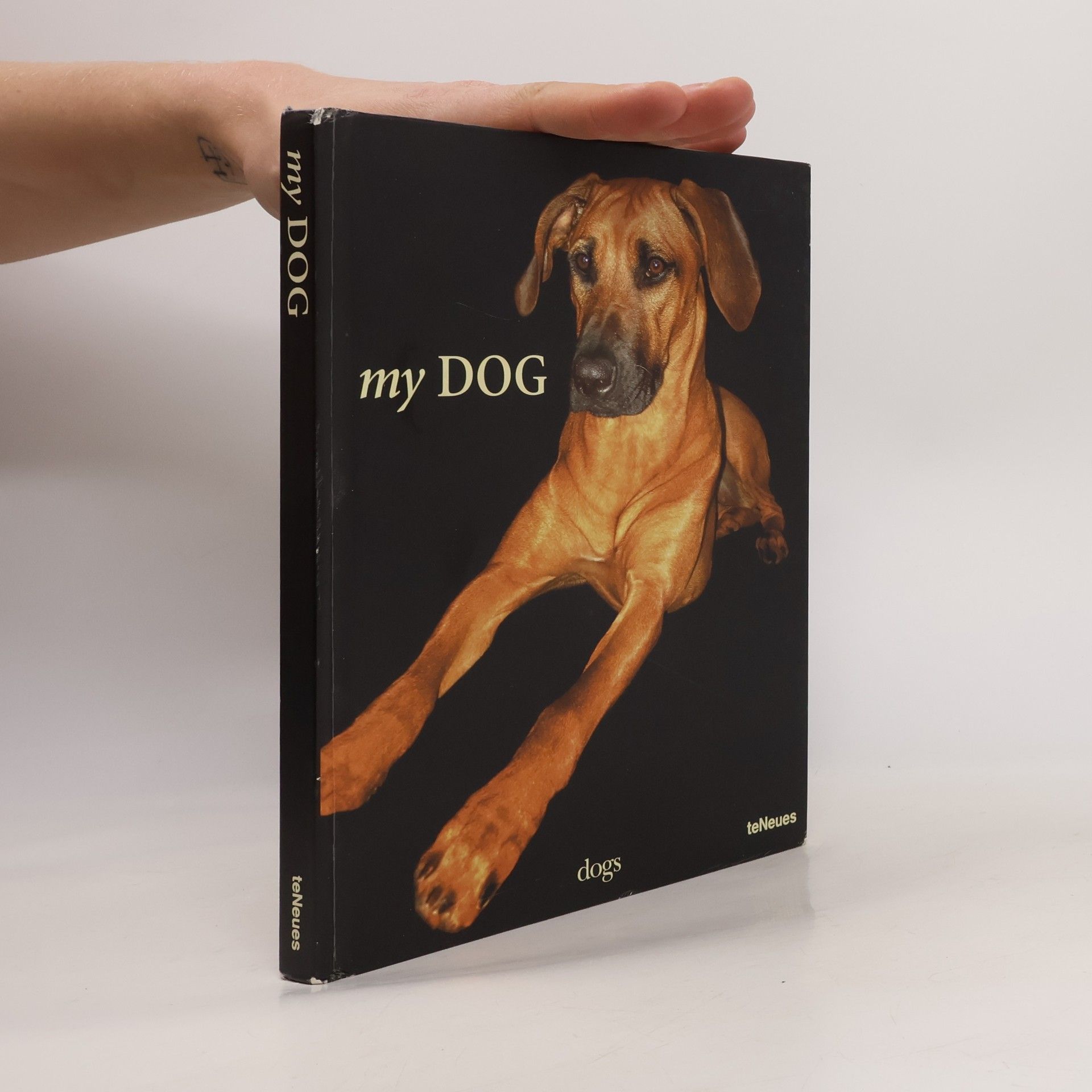 Thomas Niederste Werbeck My dog