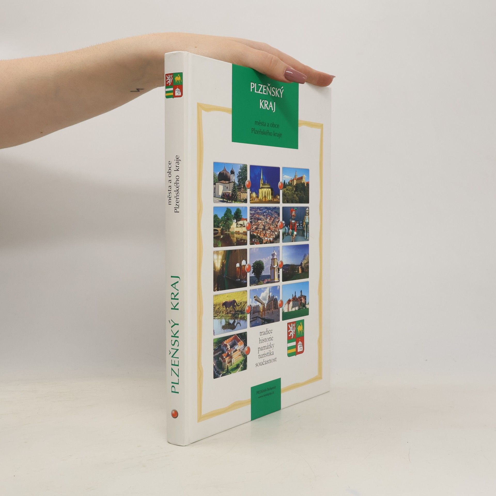 Autorenkollektiv Plzeňský kraj : města a obce Plzeňského kraje