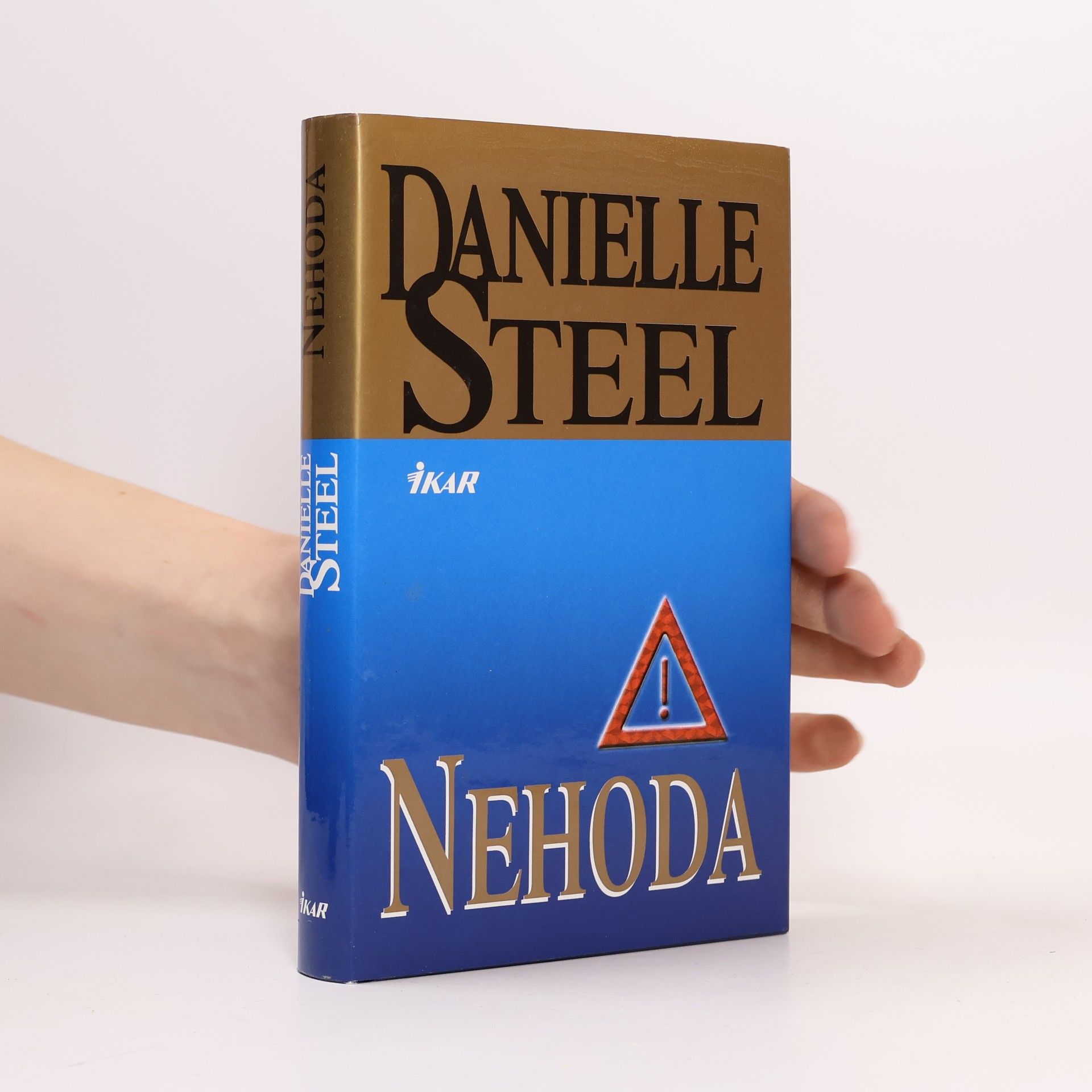 Danielle Steel Nehoda
