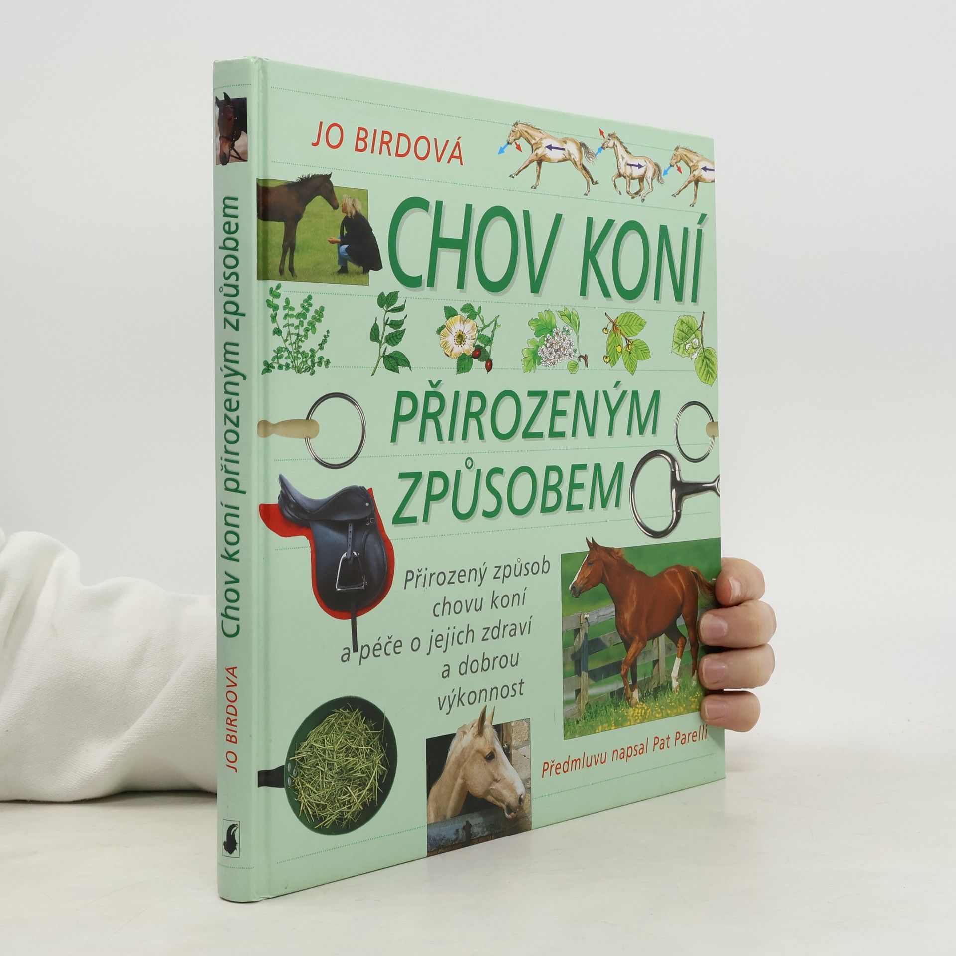 Chov koní přirozeným způsobem