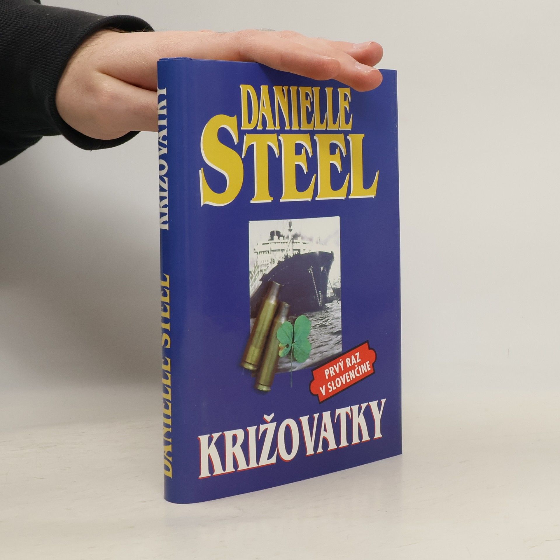 Danielle Steel Križovatky