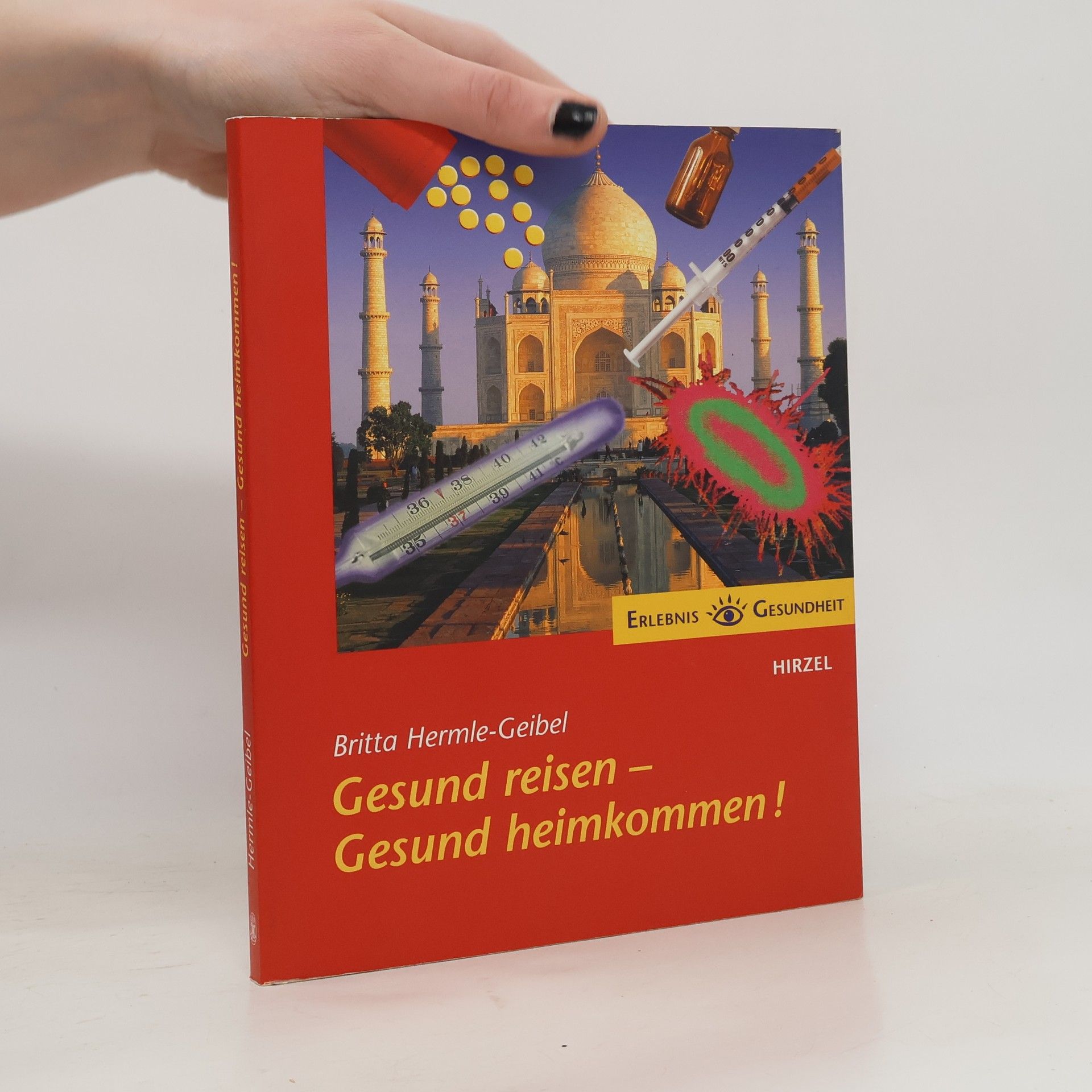 Britta Hermle-Geibel Gesund reisen - gesund heimkommen!