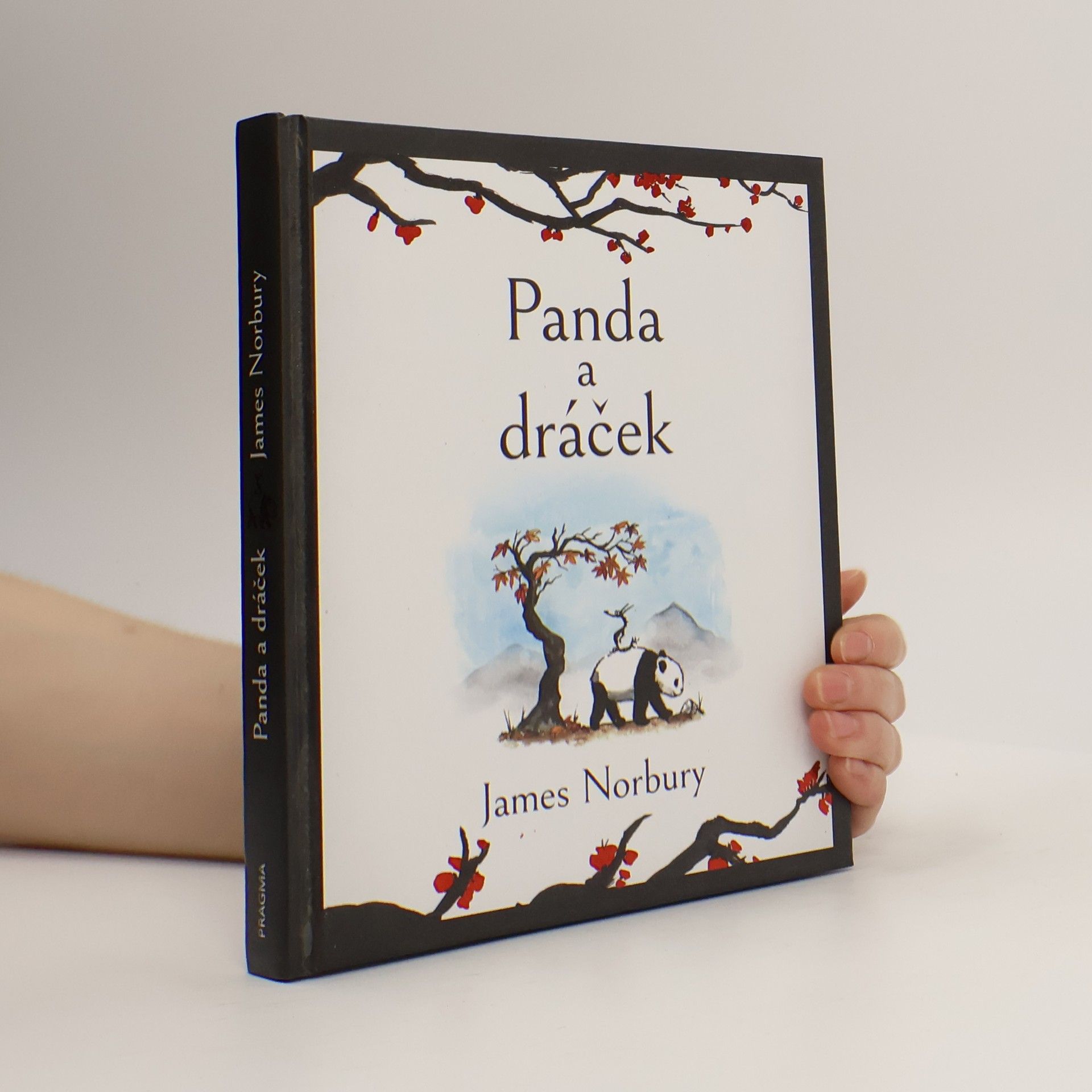James Norbury Panda a dráček