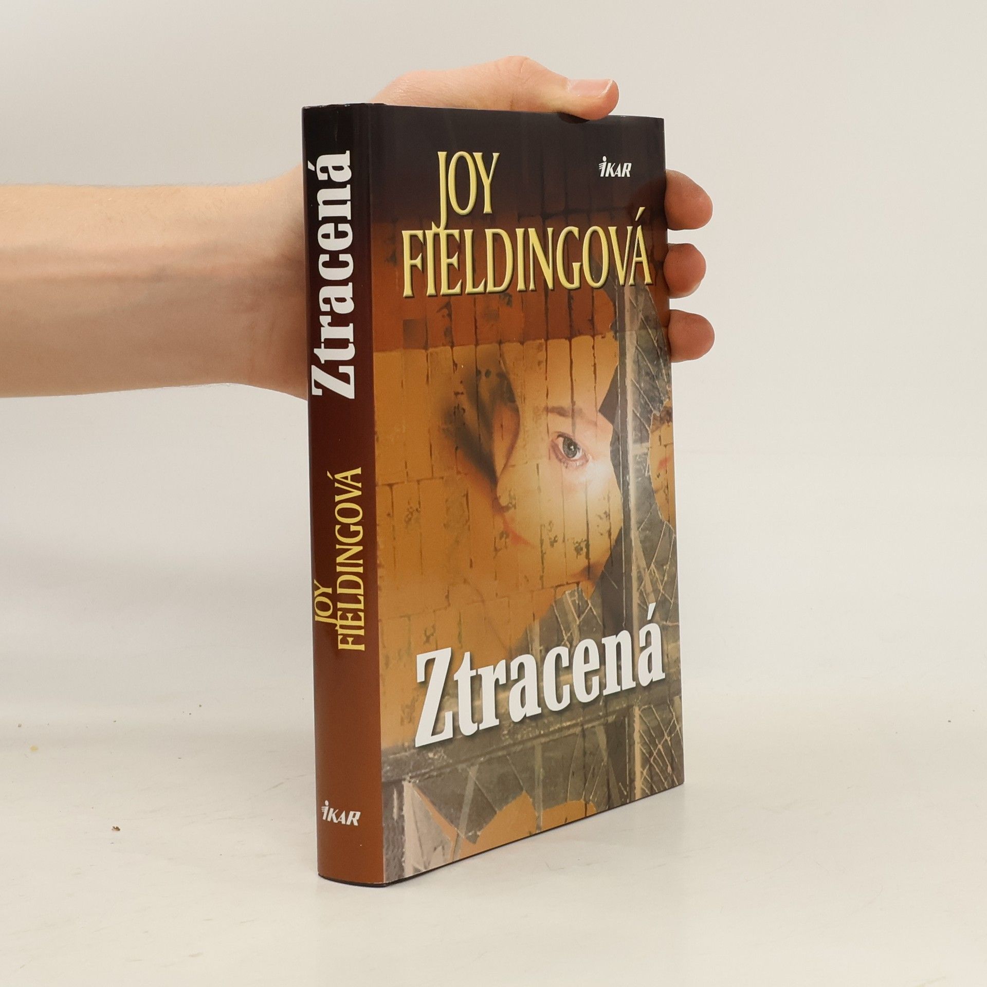 Joy Fielding Ztracená