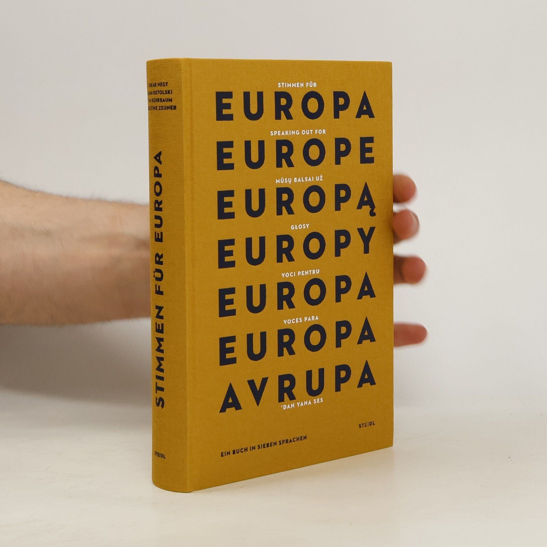 Oskar Negt Stimmen für Europa